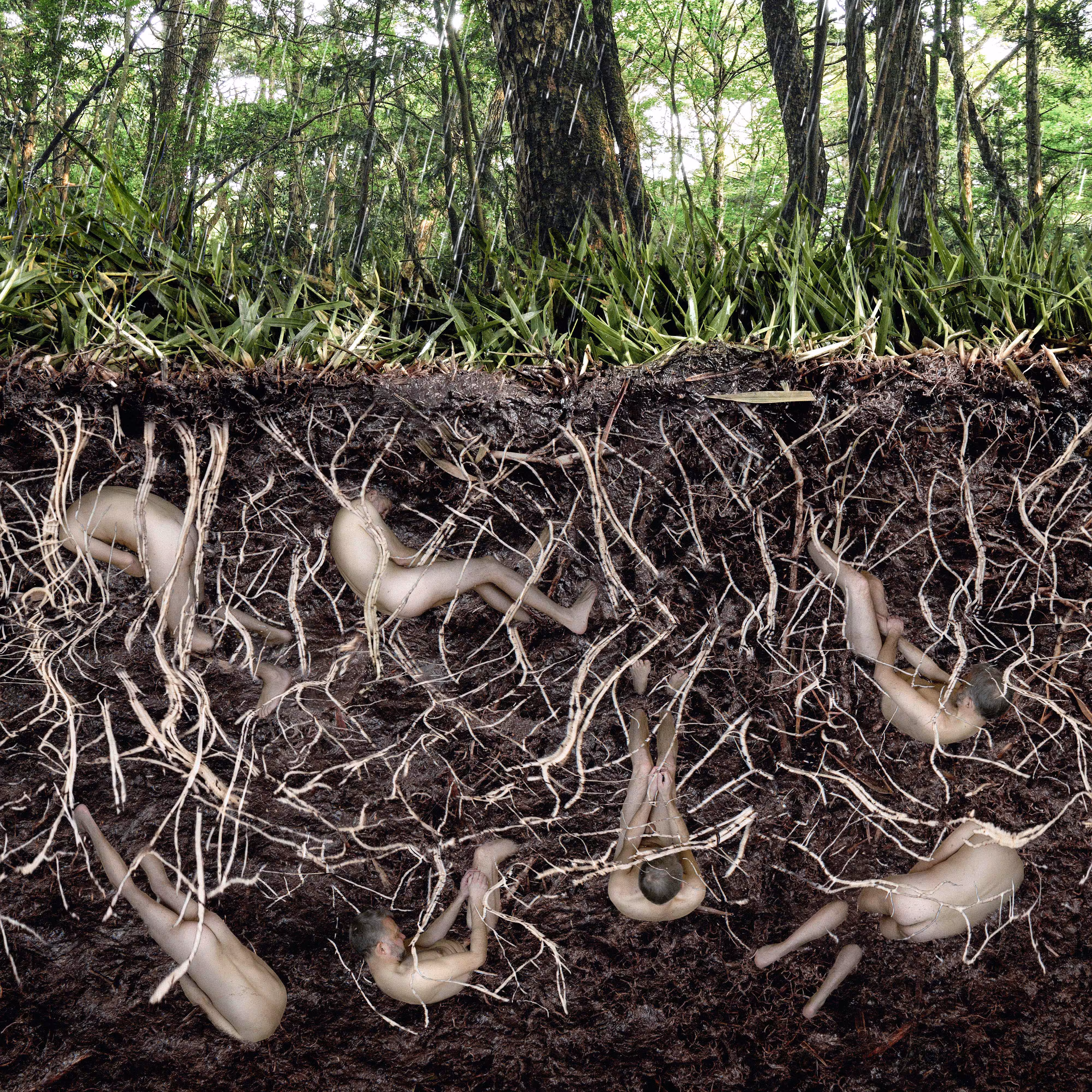The Sweet Tickling of Roots