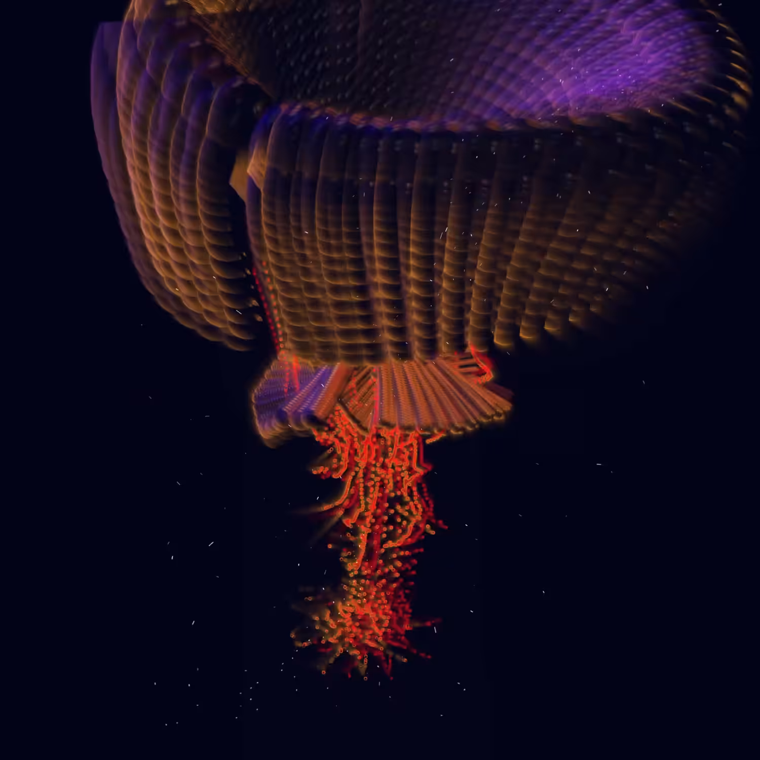 Jellyfish 1206 (2024)  