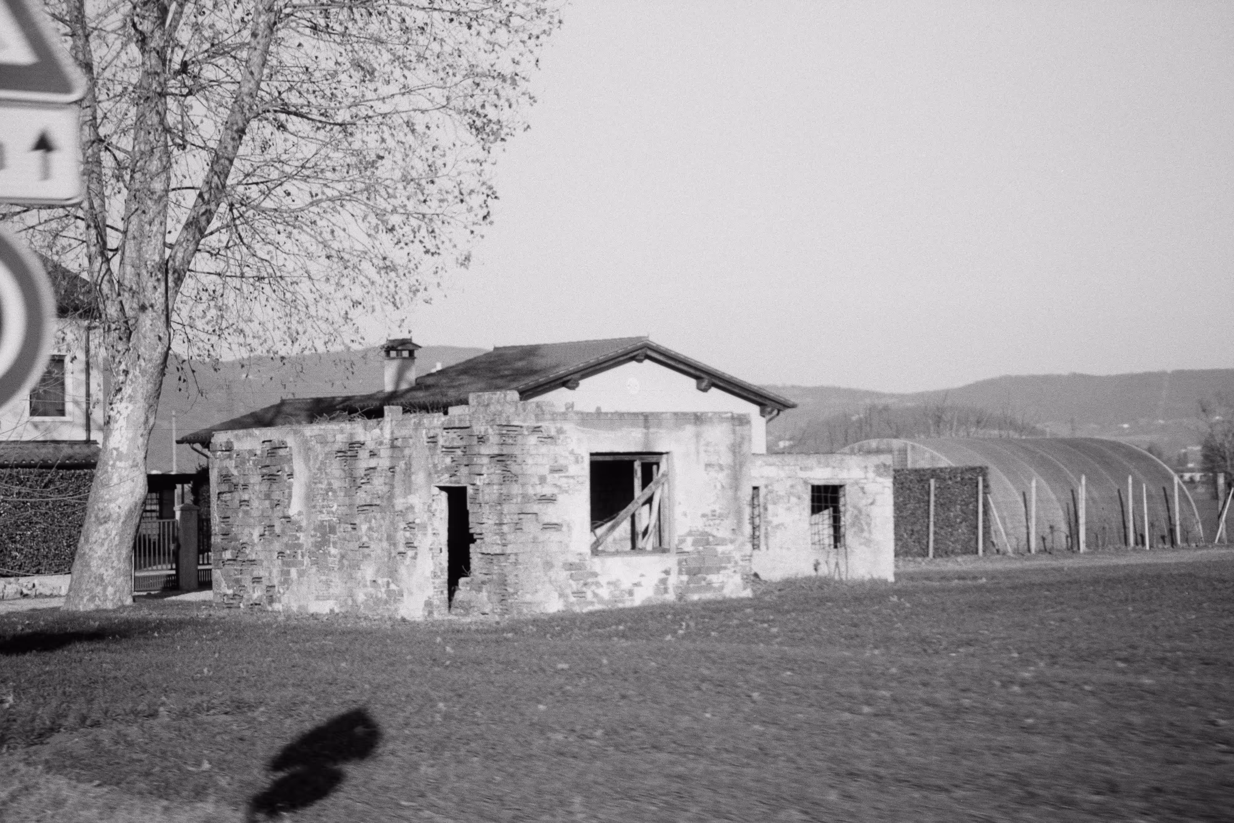 IMAGE 26