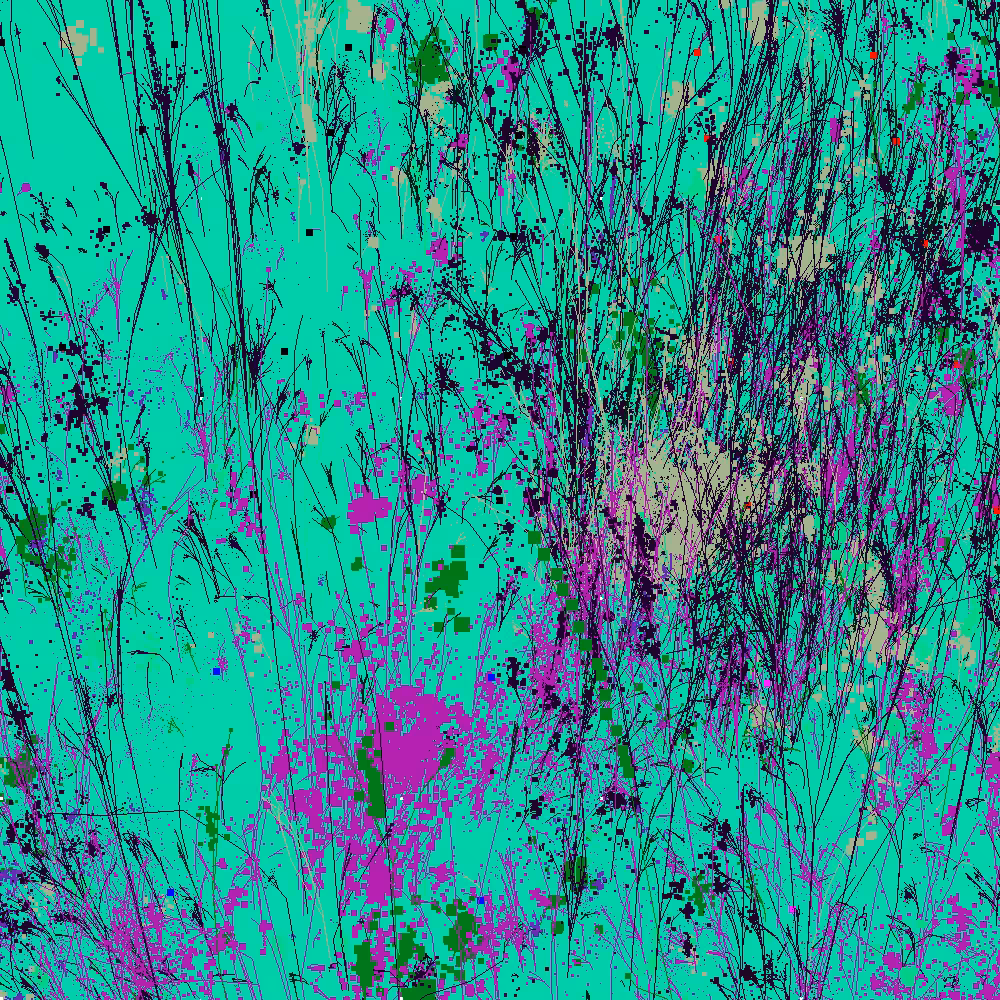 Infinite Garden: 48058 Flowers