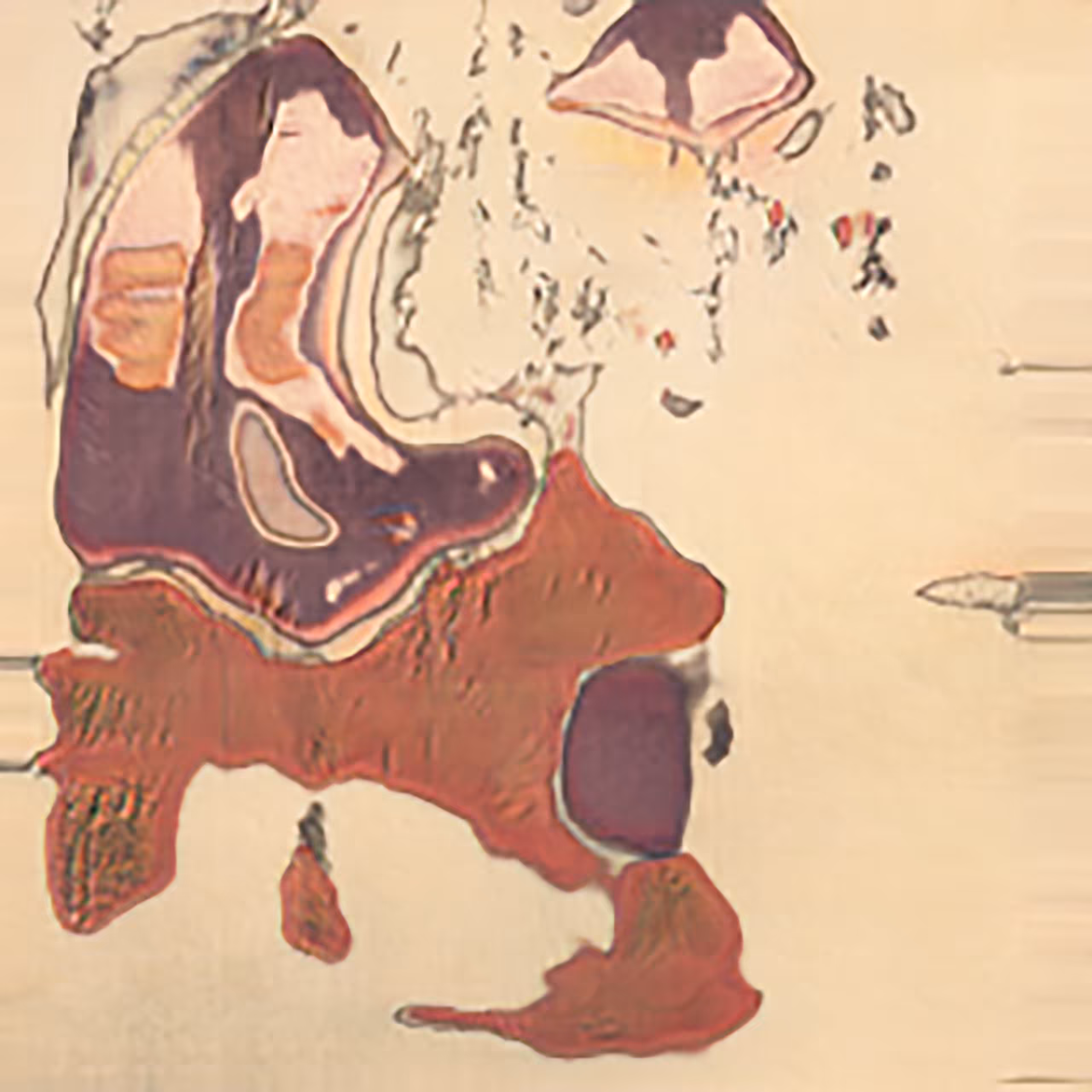 Japanese Girl