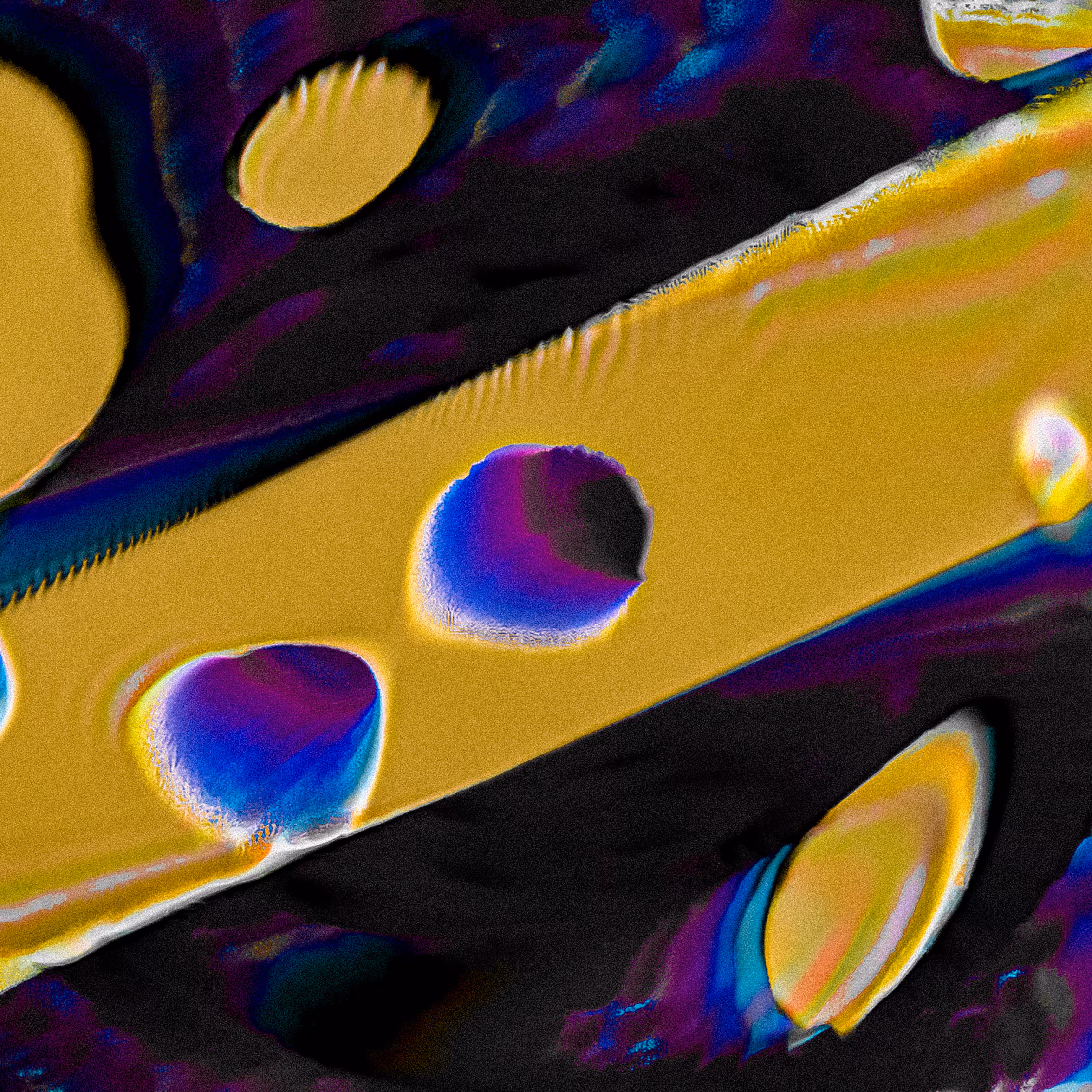 Bloom