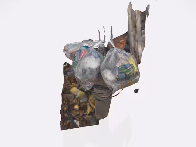 Brazilian Trash