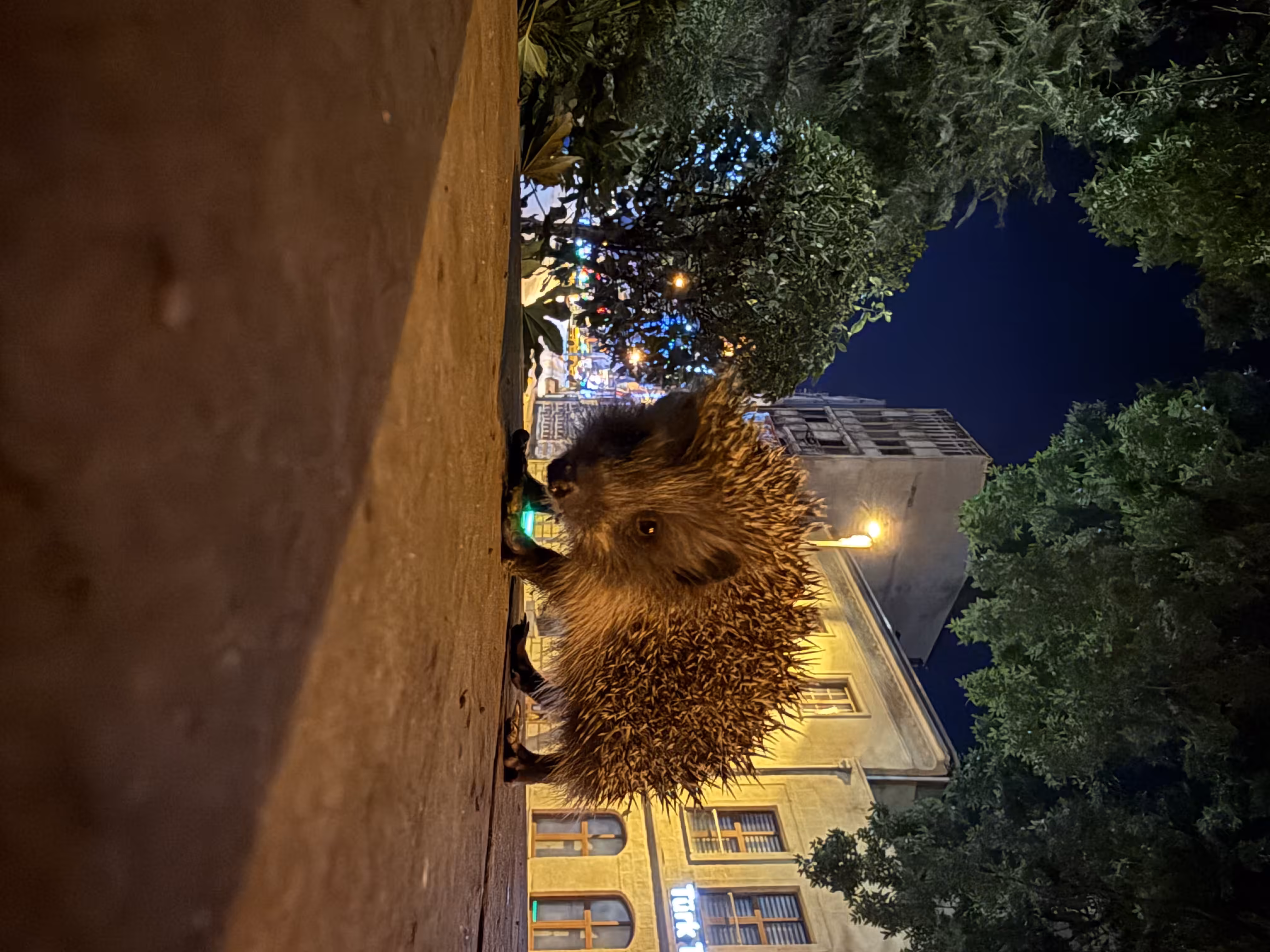 Legend of the City