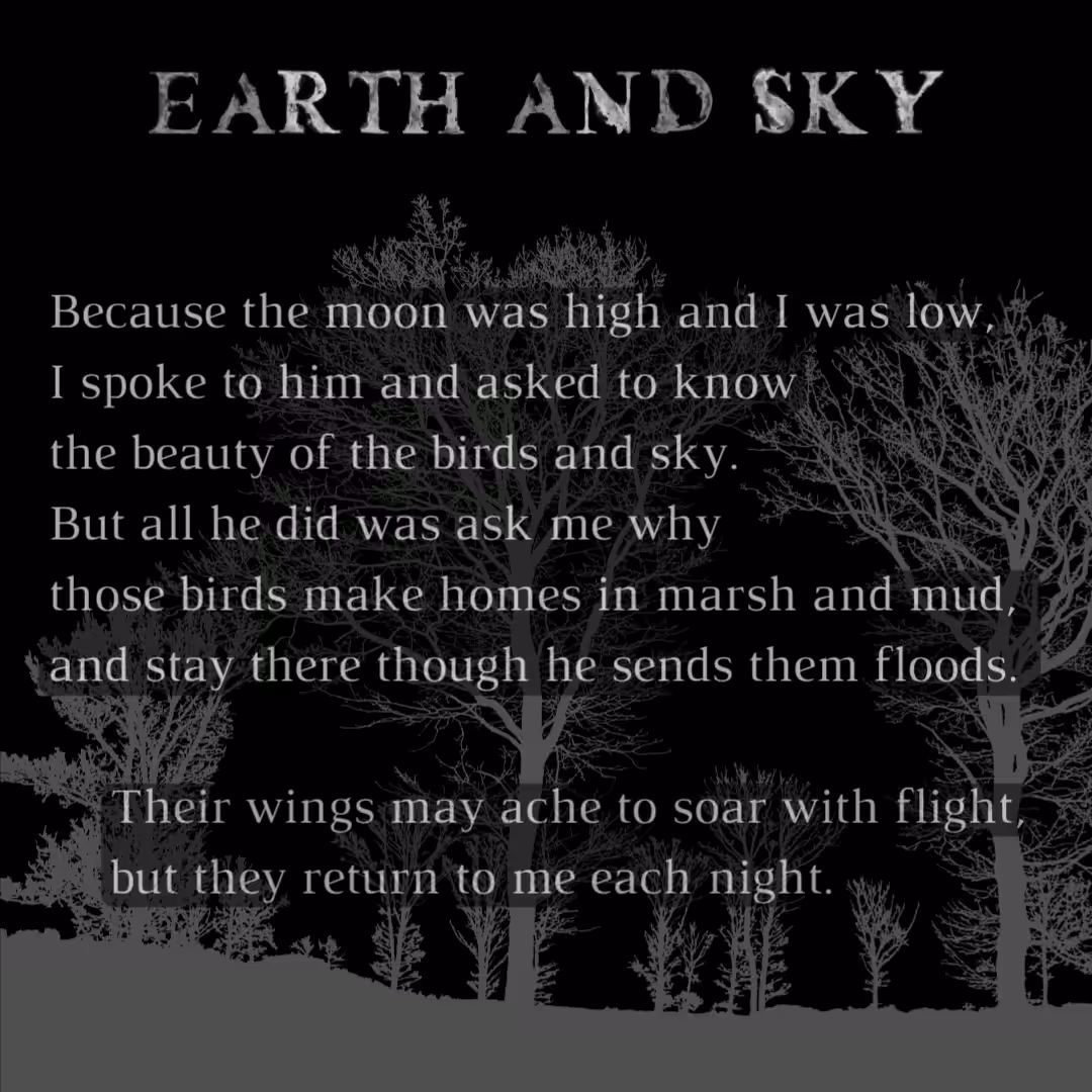 Earth and Sky