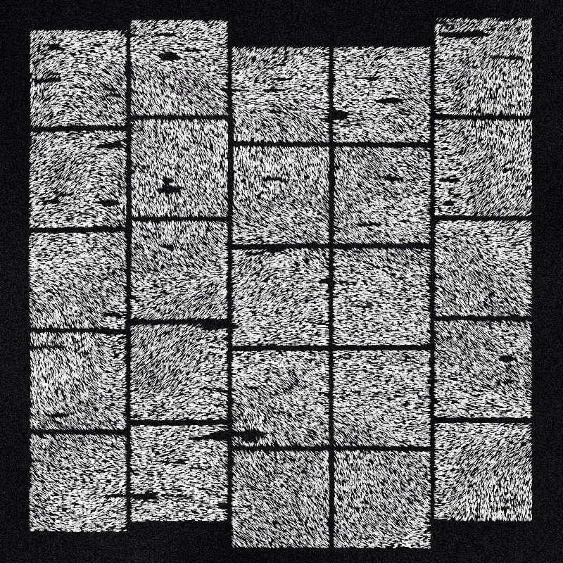 Koivu #20