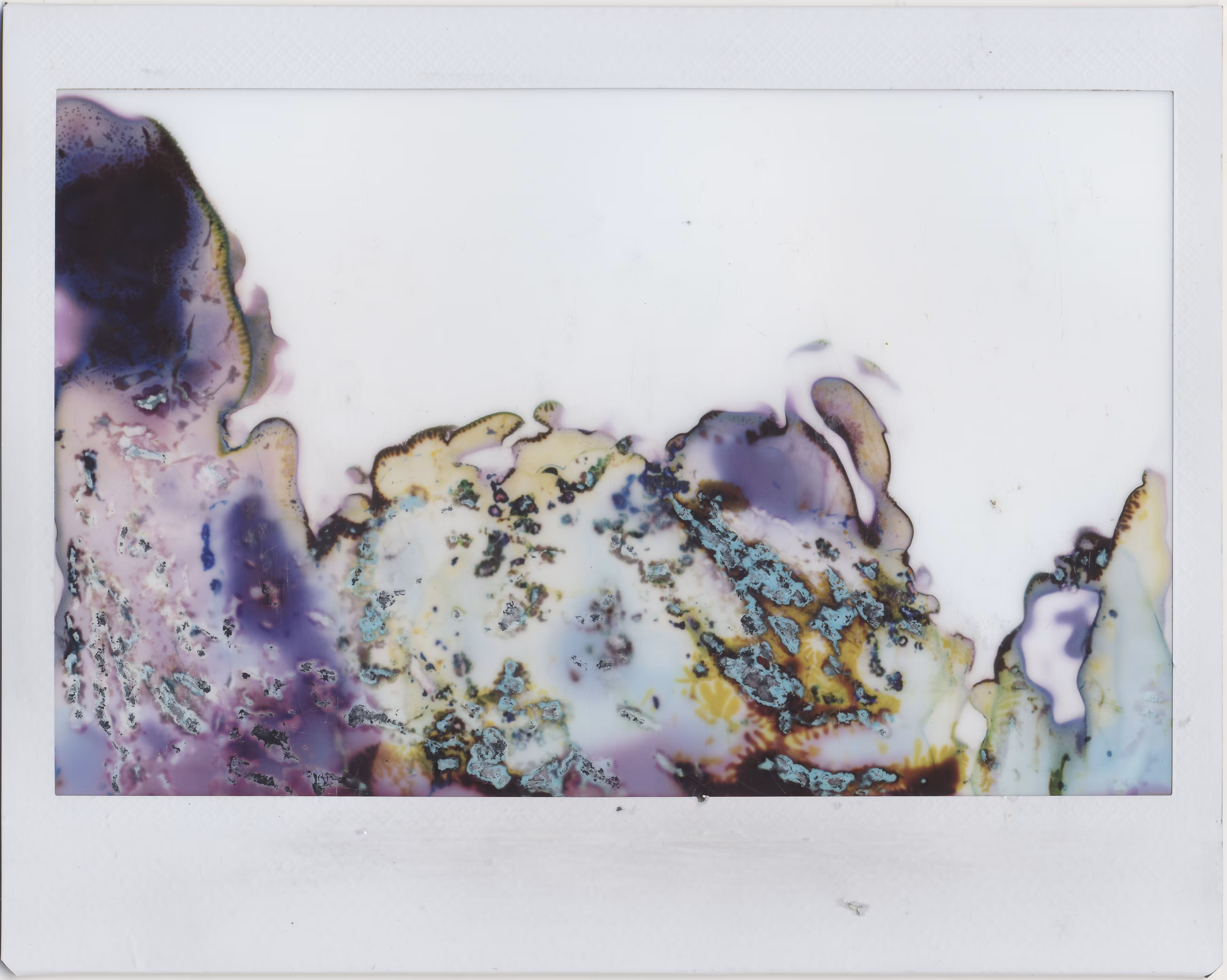 Experimental Instax: Freebruary 01