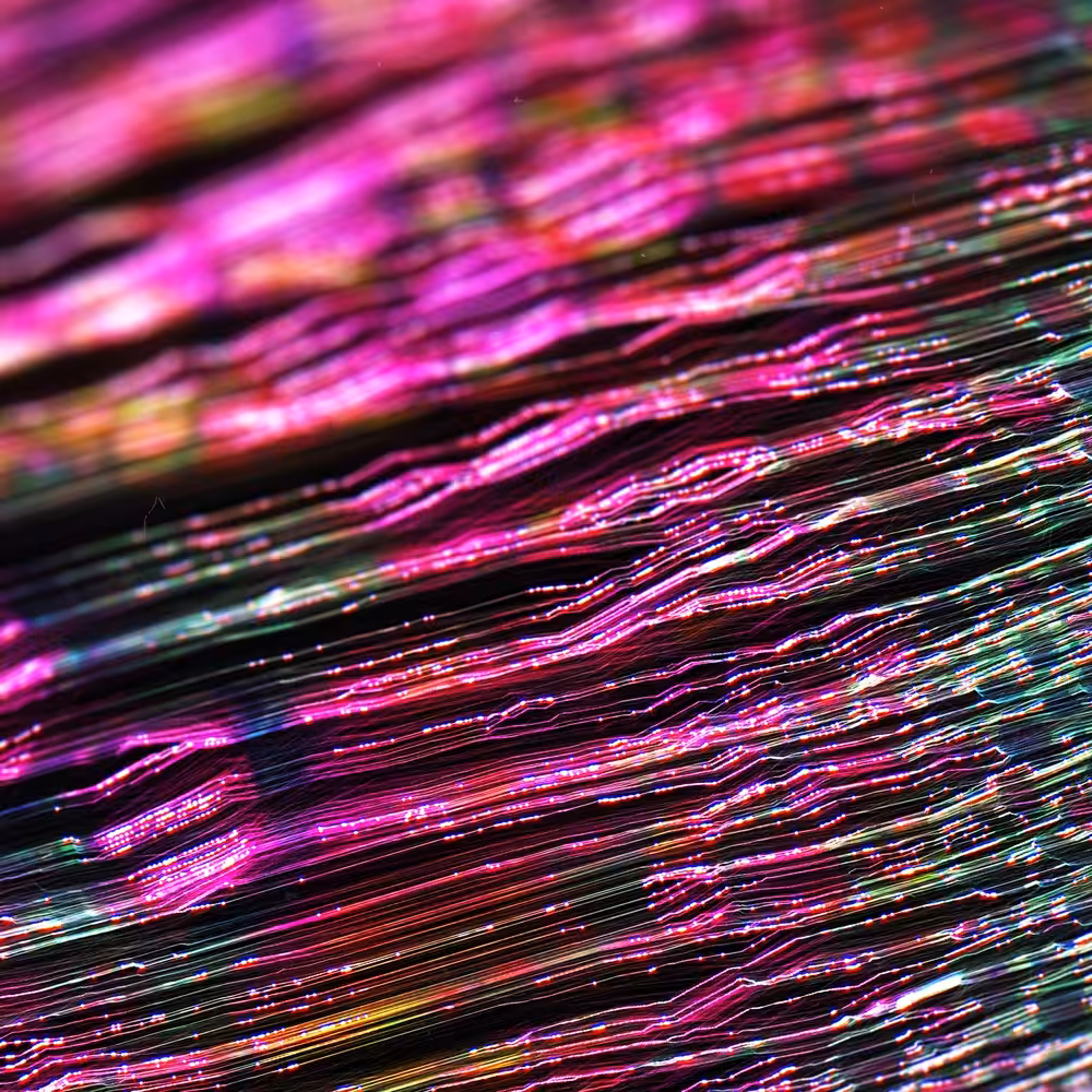 PINKY STRUCTURE