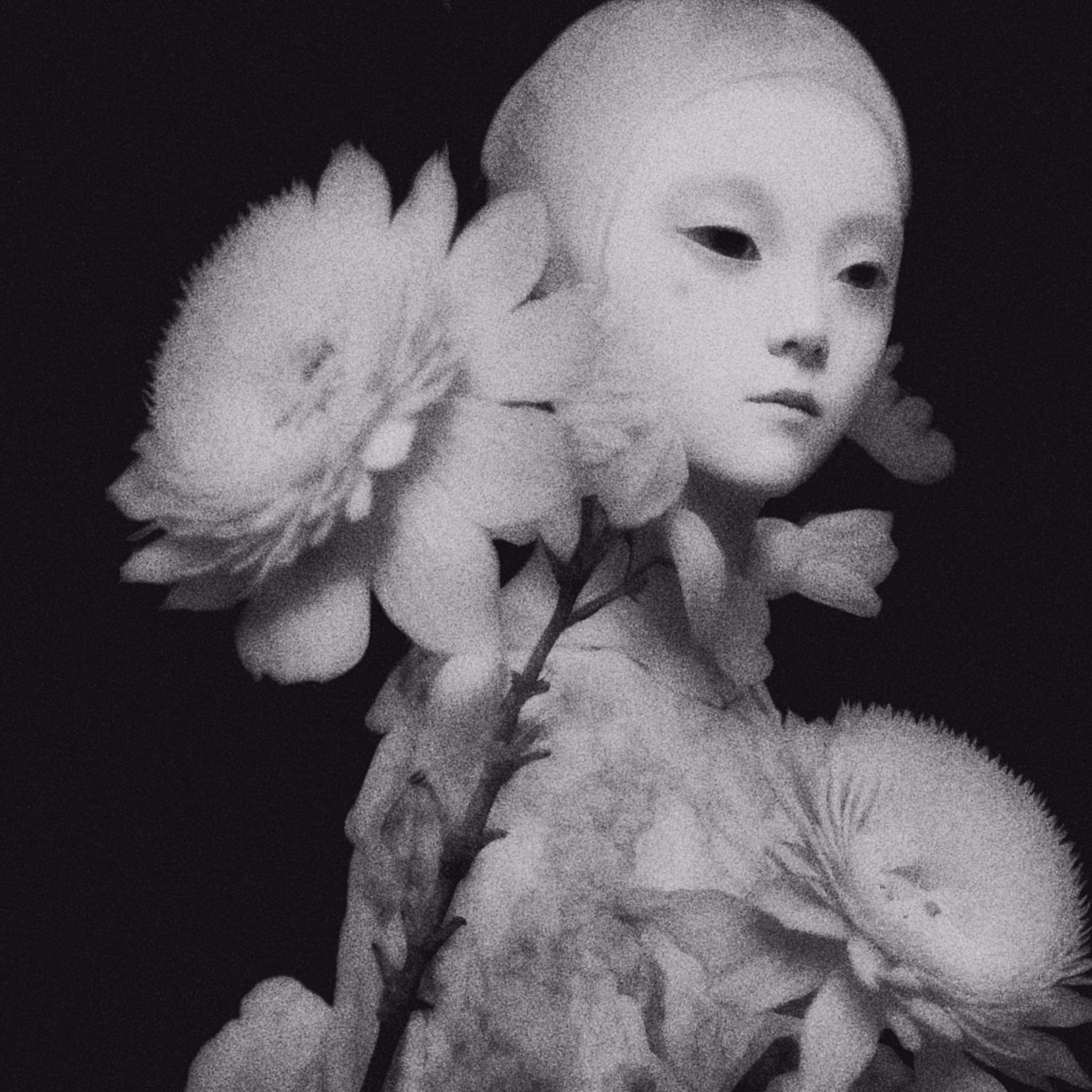 Lady of the Celestial House