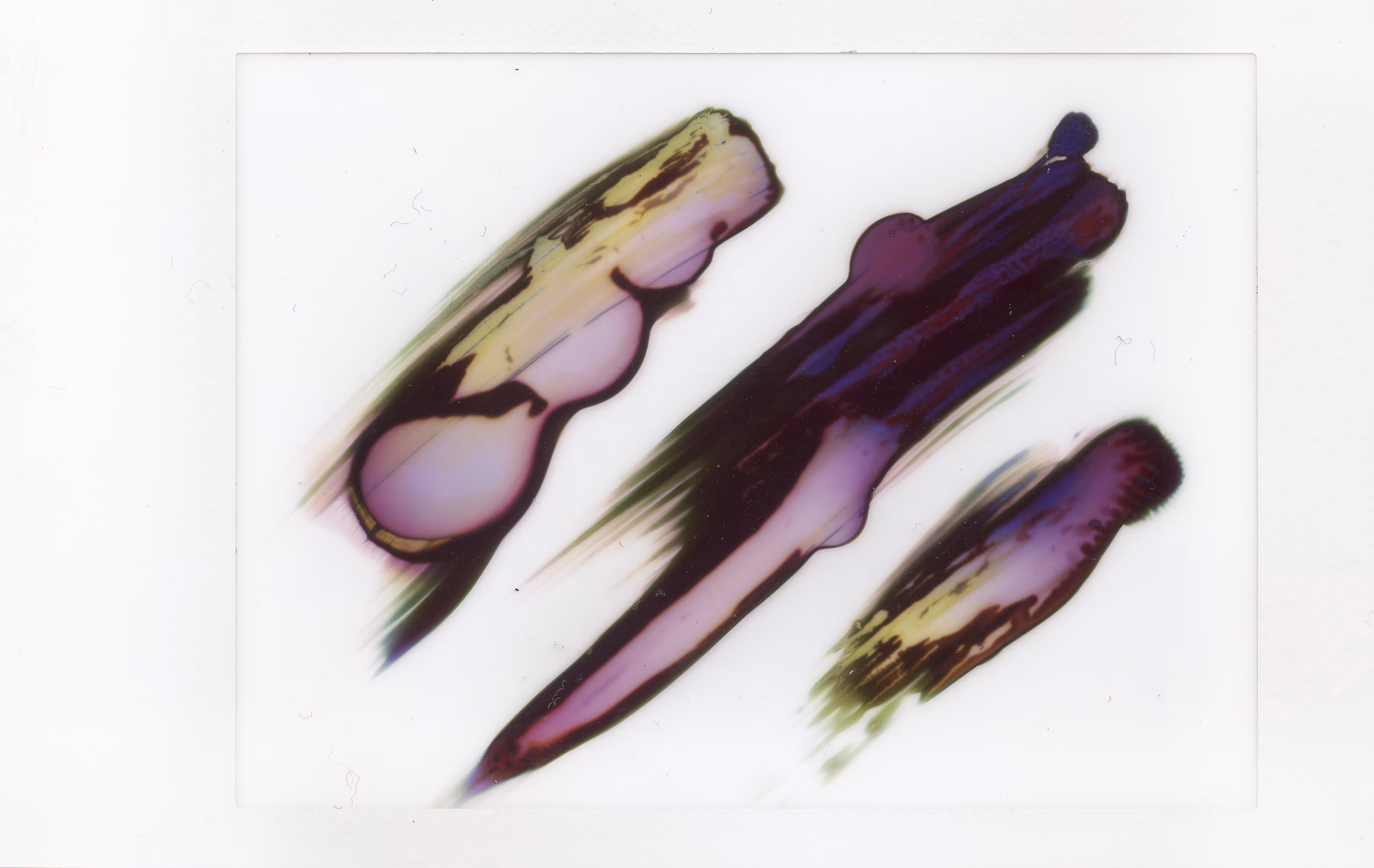 Polaroids #05