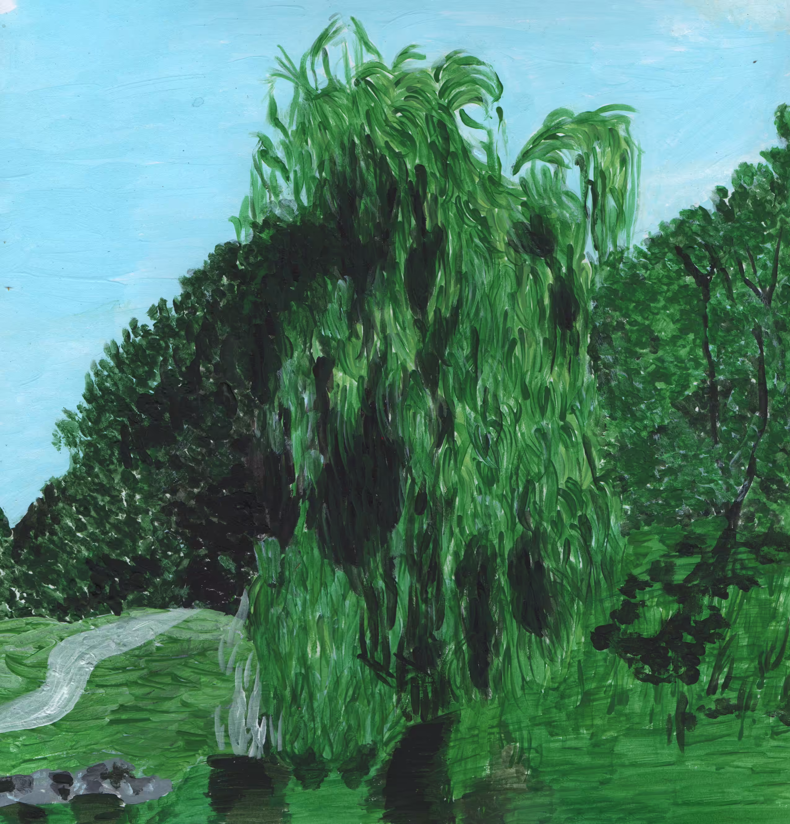 en islas: Paisaje secundario