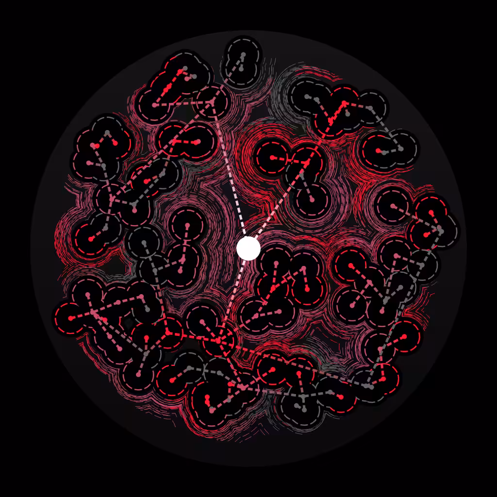 Local Universe #1