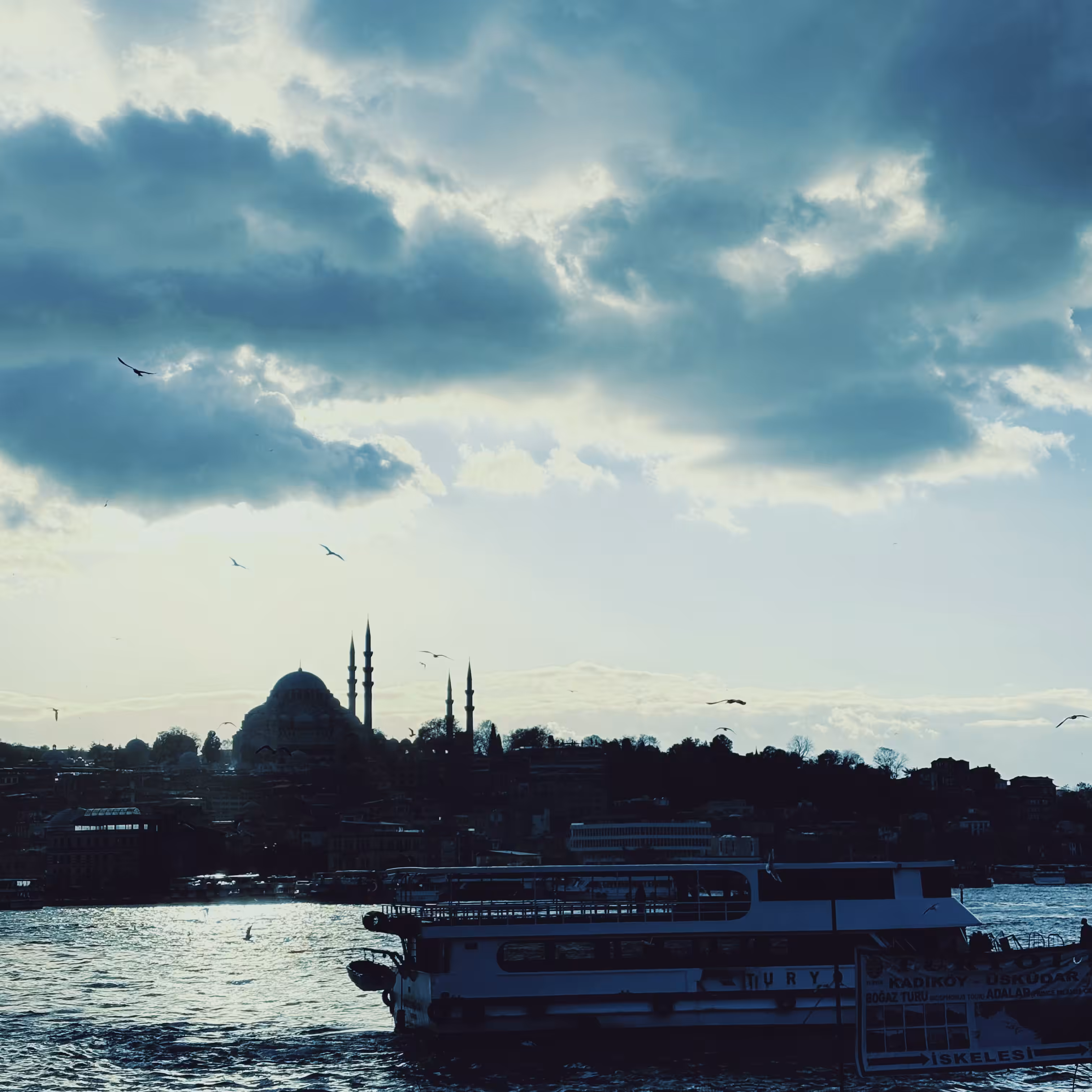 Dull blue