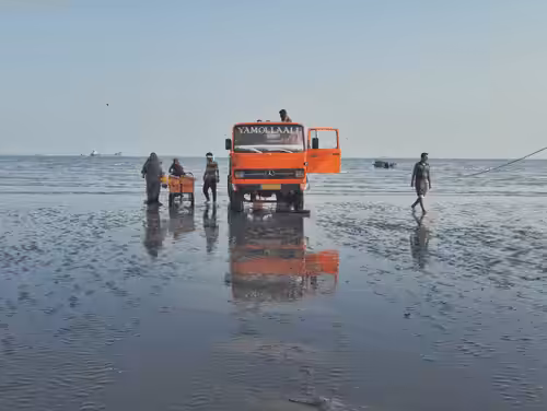 Last Beach #14