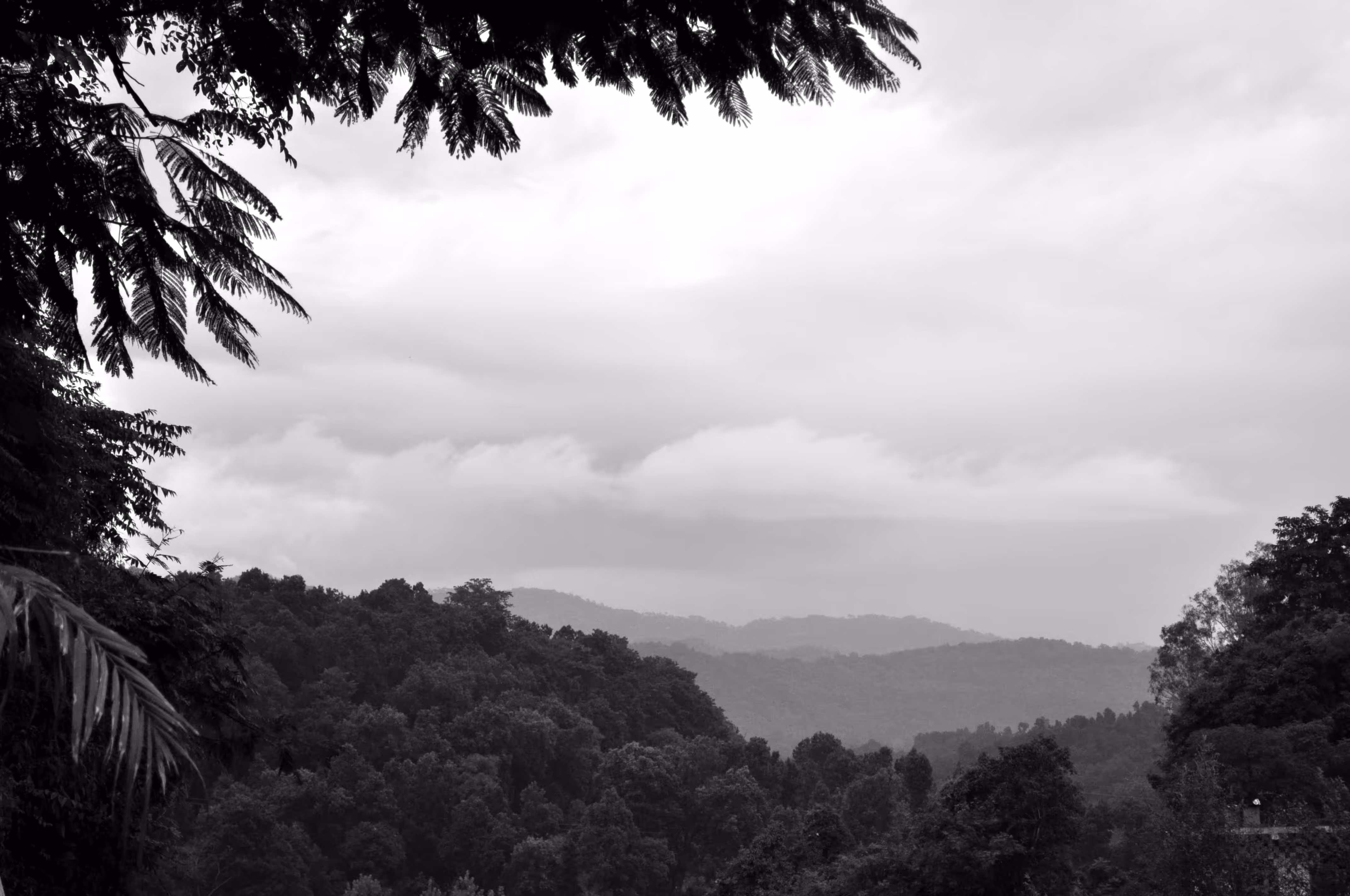 Heaven's view  