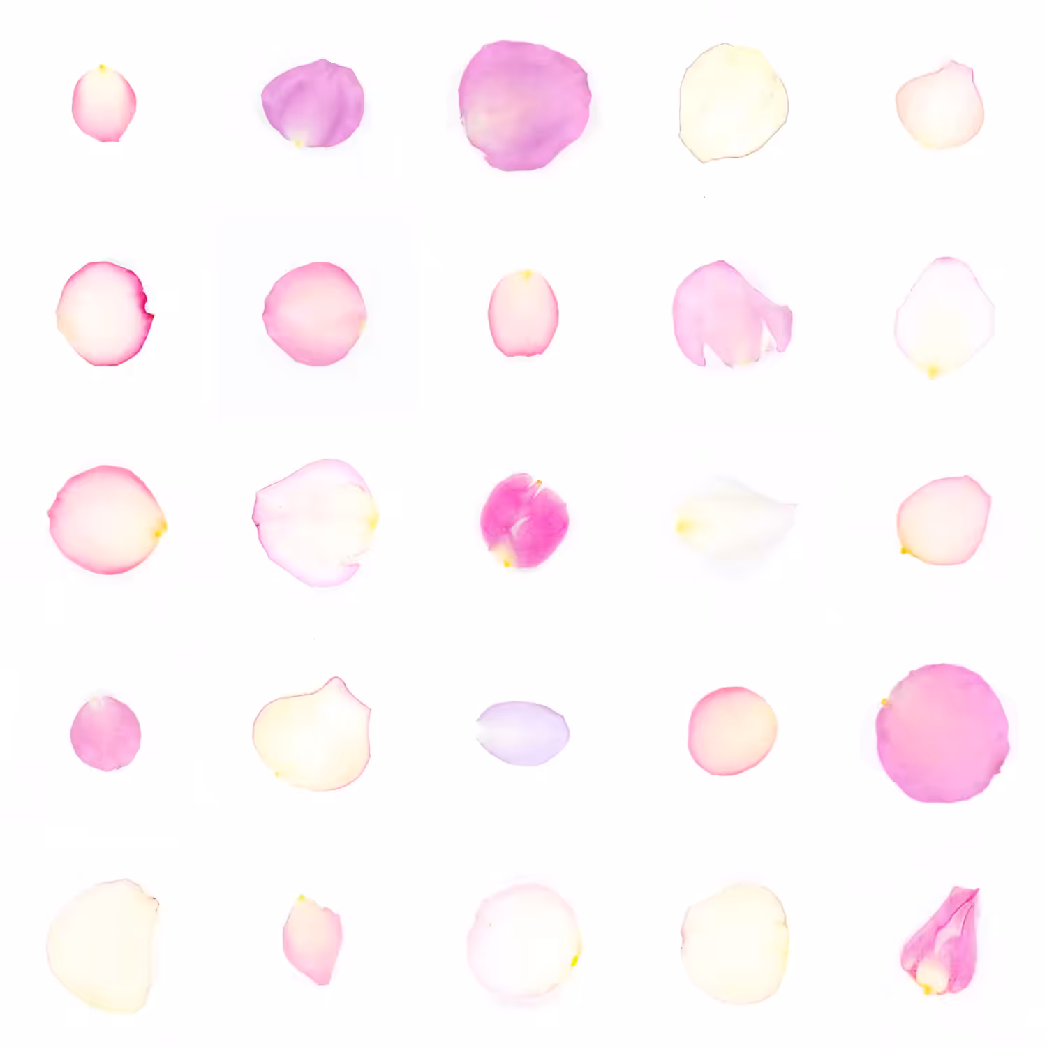 Infinite Petals 5x5#20172