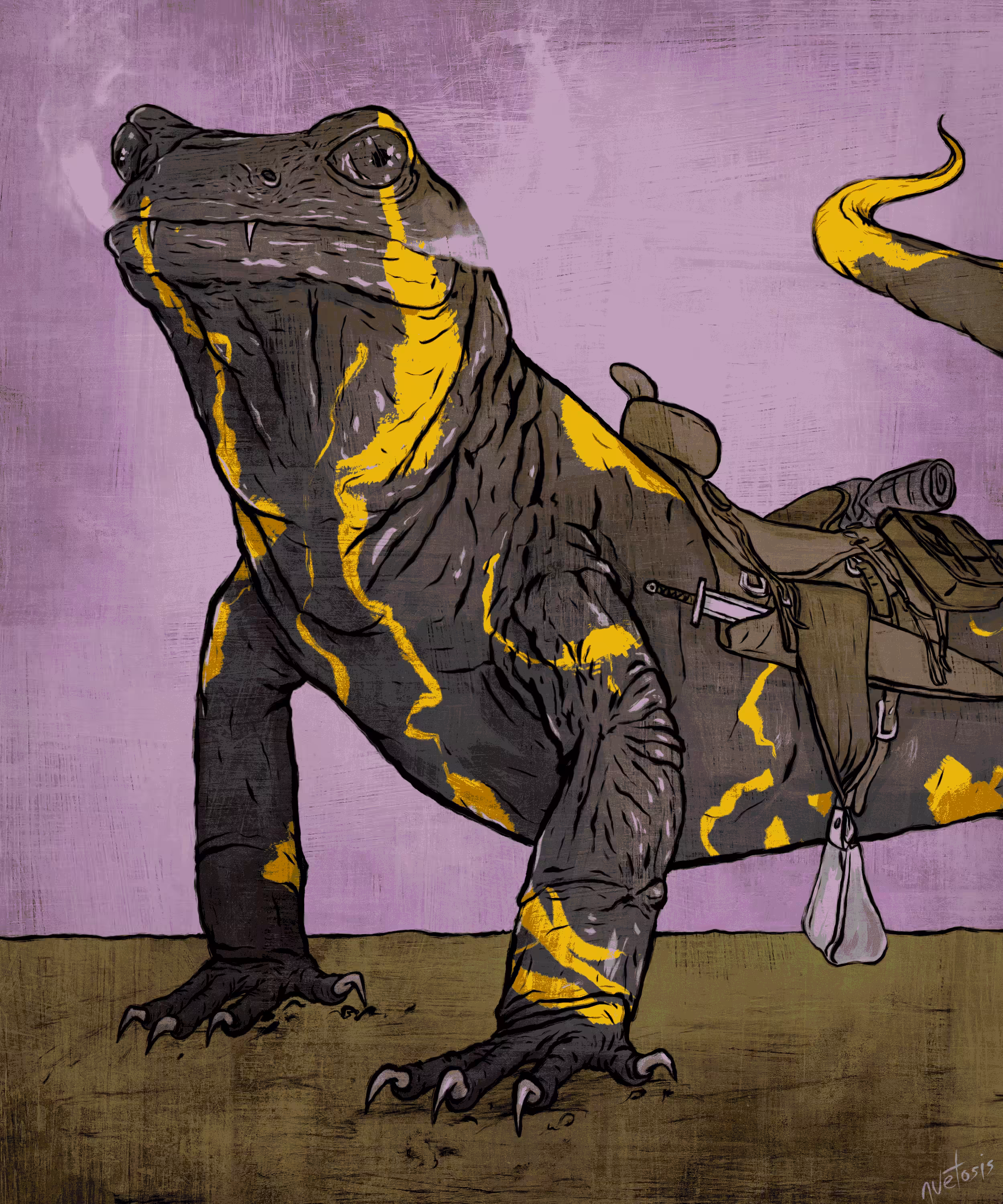 Fire Salamander 3