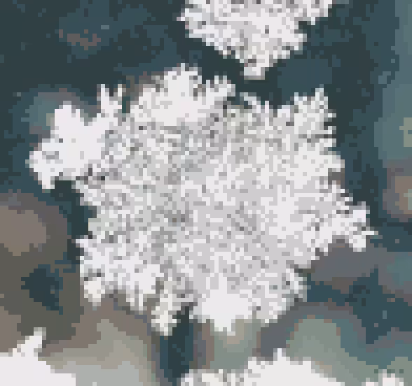 Infinitesimal continent