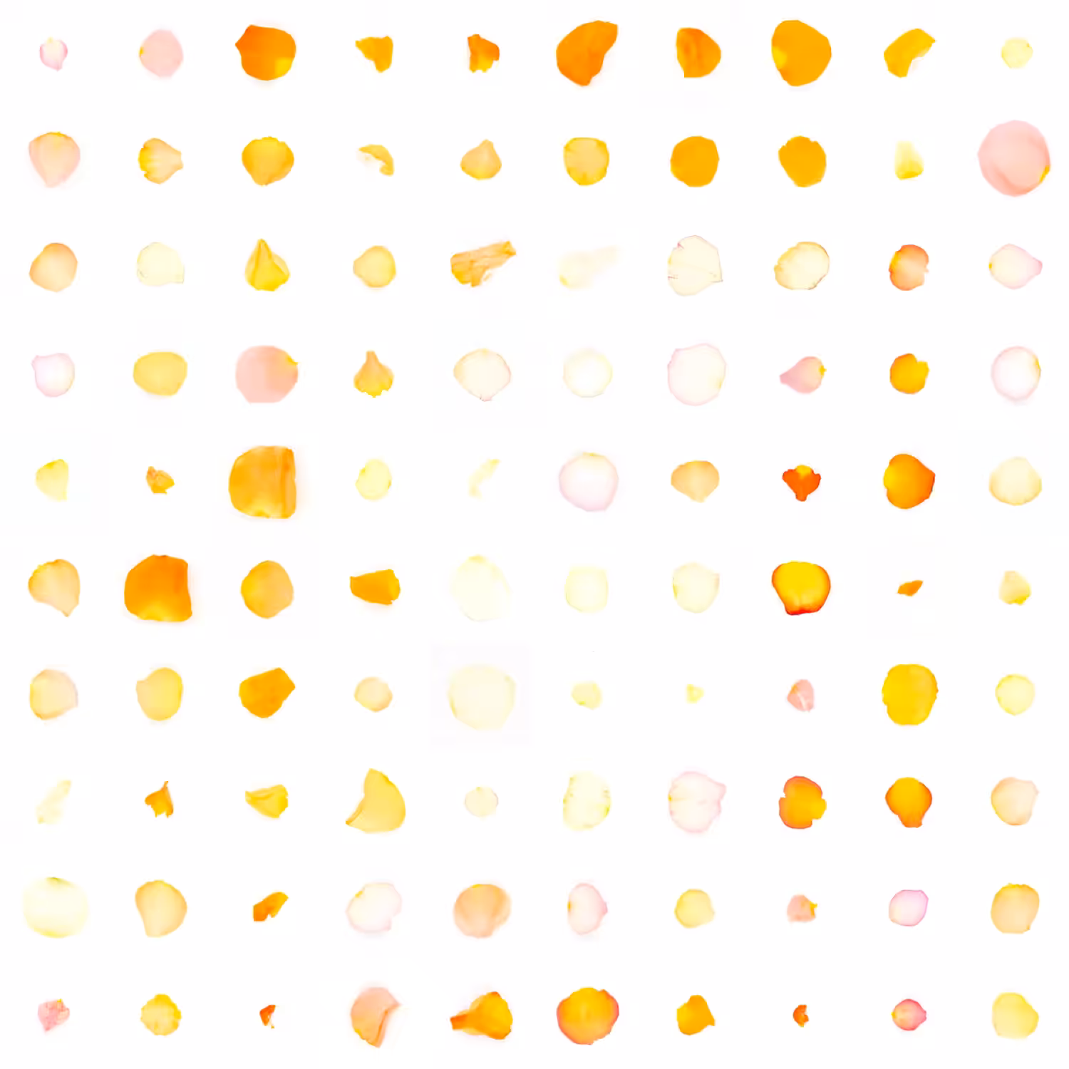 Infinite Petals 10x10#900016