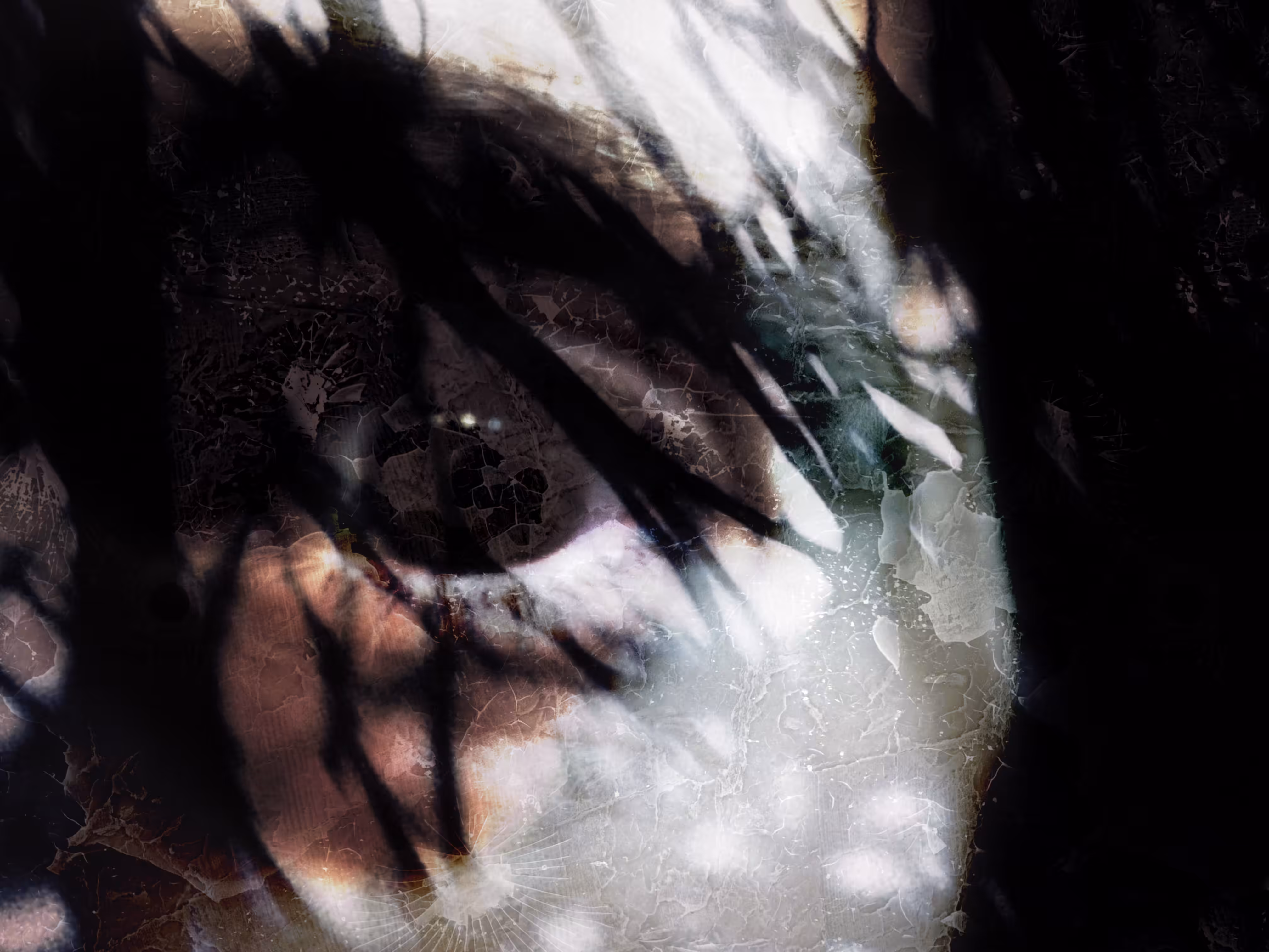 Hidden In The Shadows