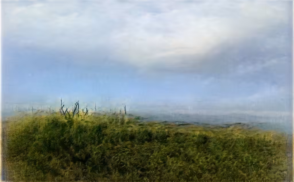 Paraíso 3