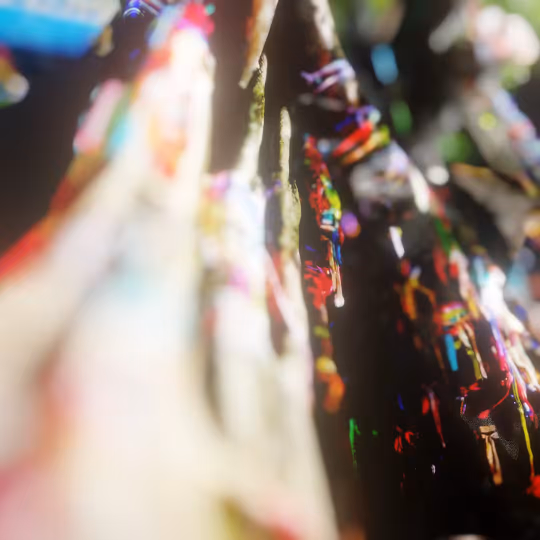The Wish Tree