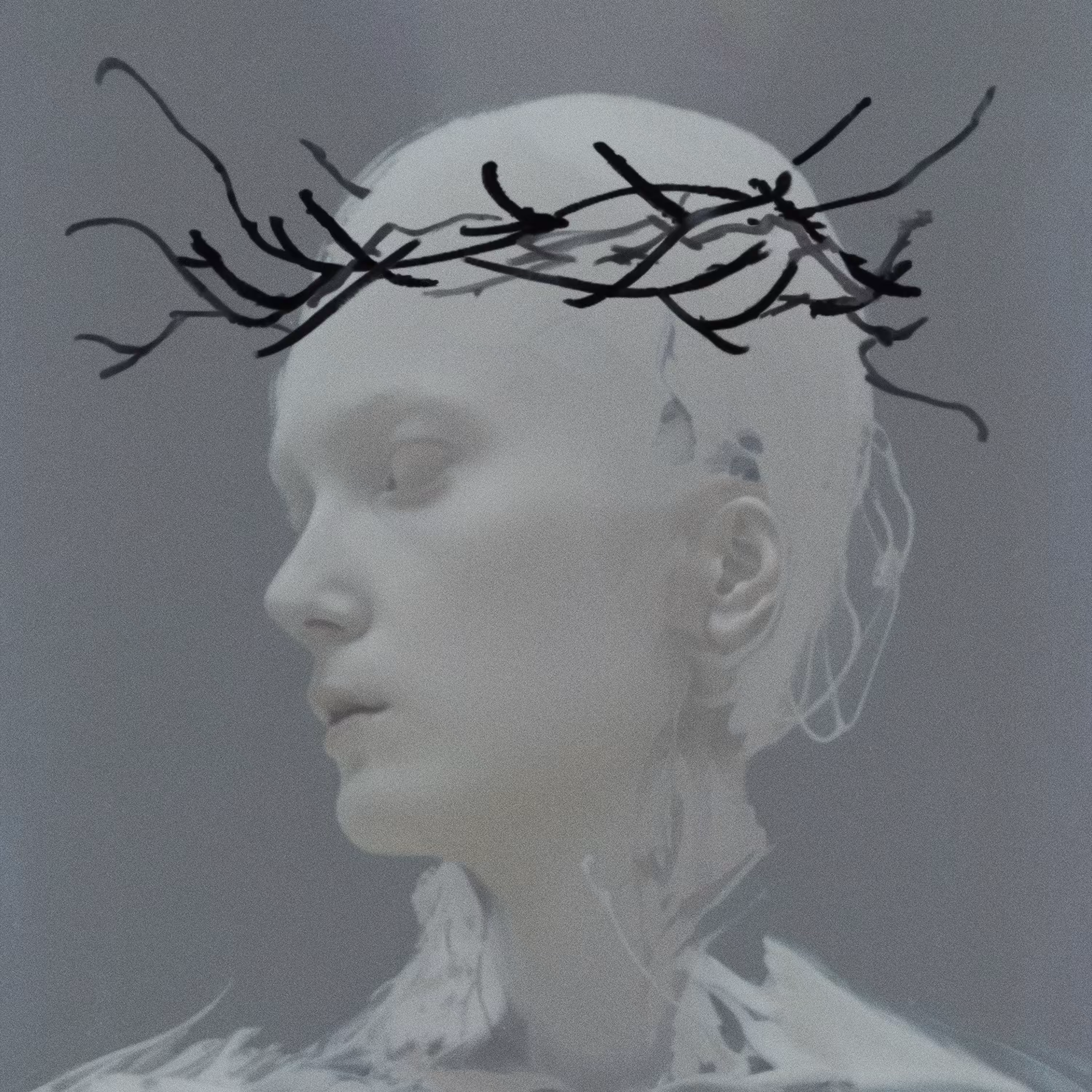 The Martyr