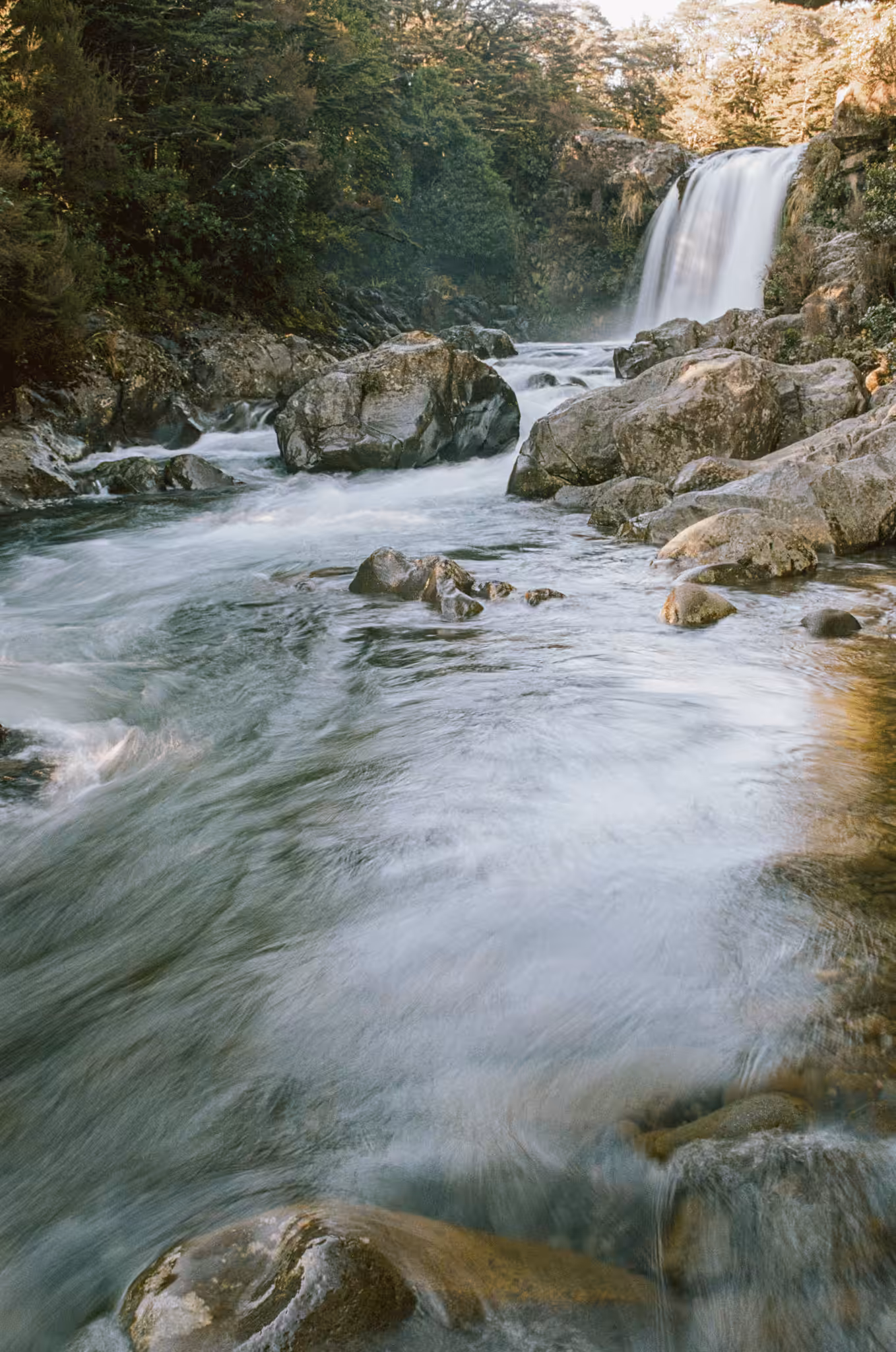 Tawhai Falls #1