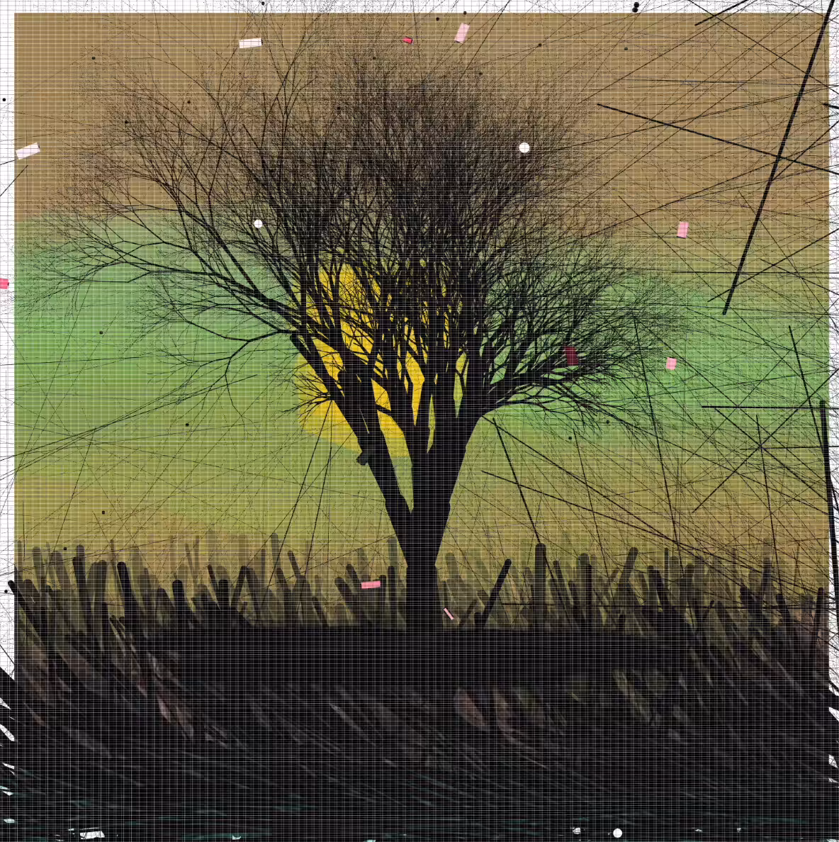 Rodeo posts: A Tree in the Distance B2