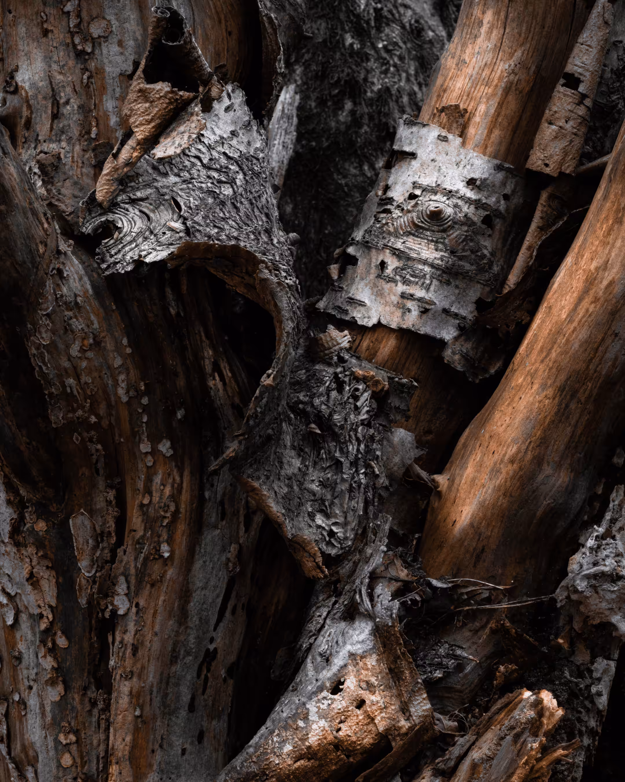 Elements #43 - Stripped