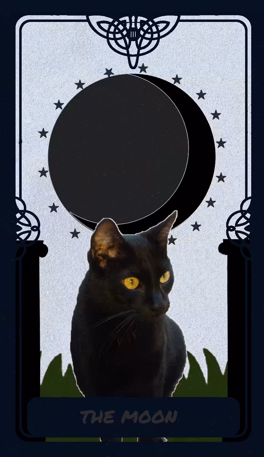 The Moon