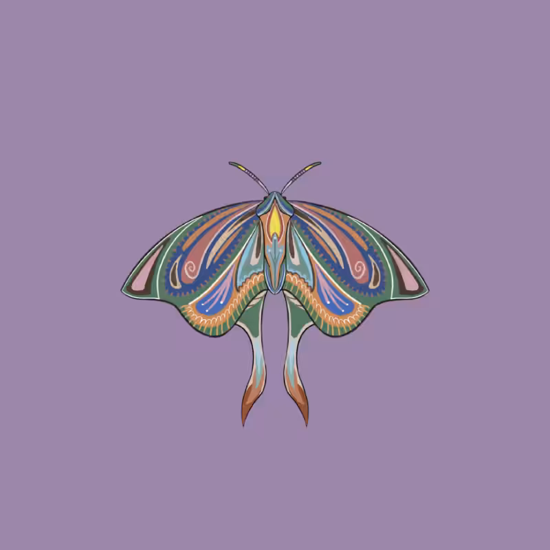 The Moth Experiment 2.0 P2 #21