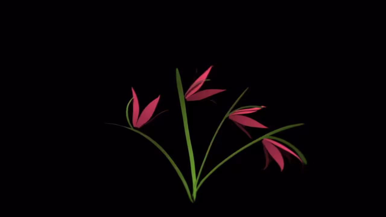 "Flower in darkness"