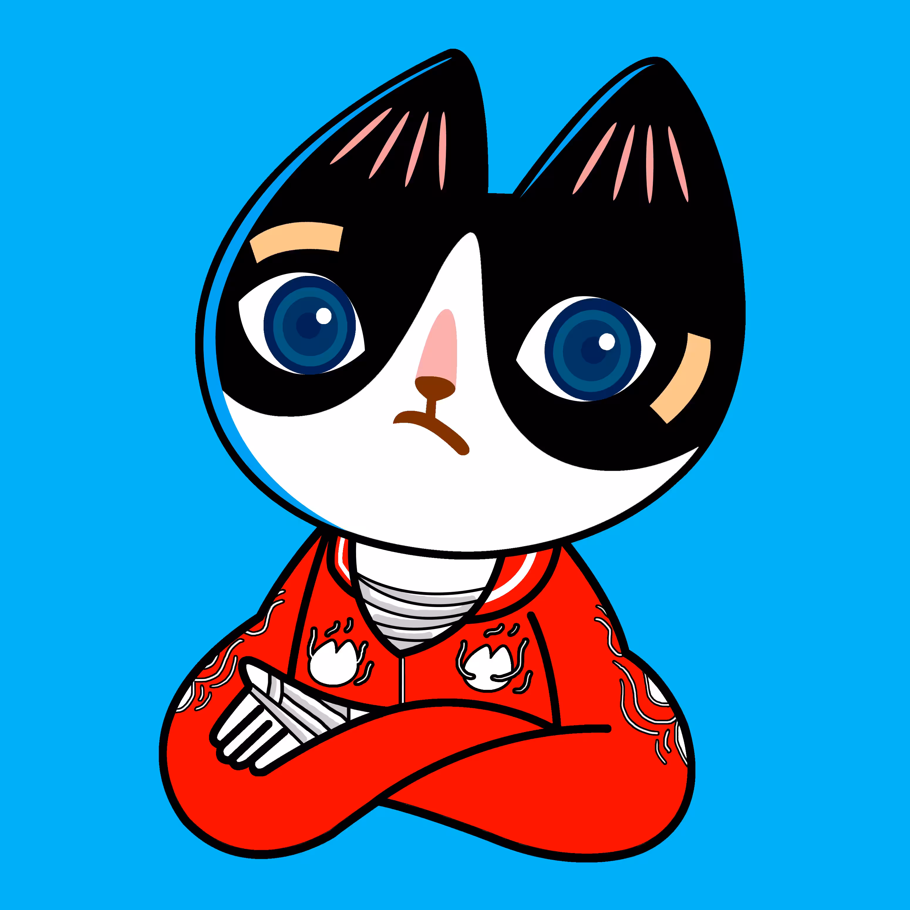 CATCH CAT 018