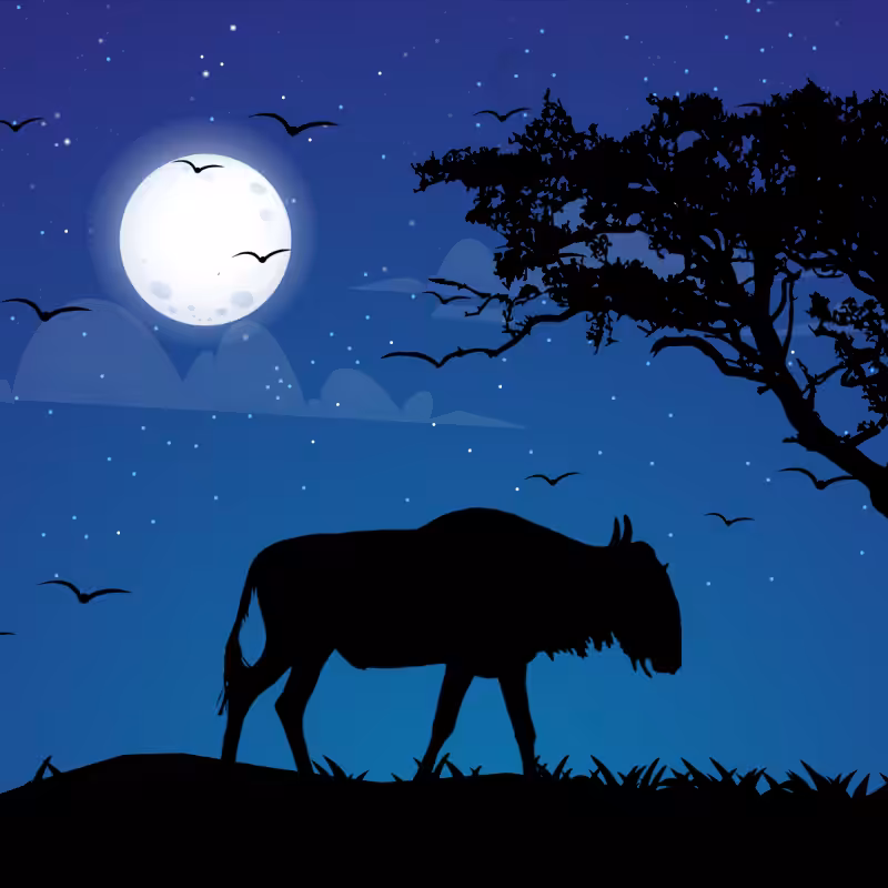 We Care...Wildebeest #3