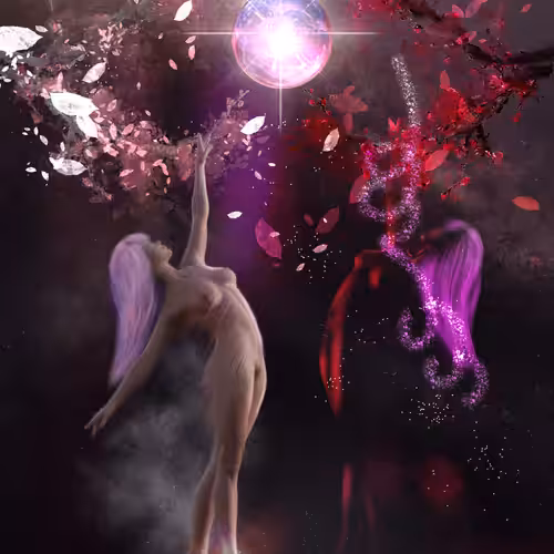 Polarity