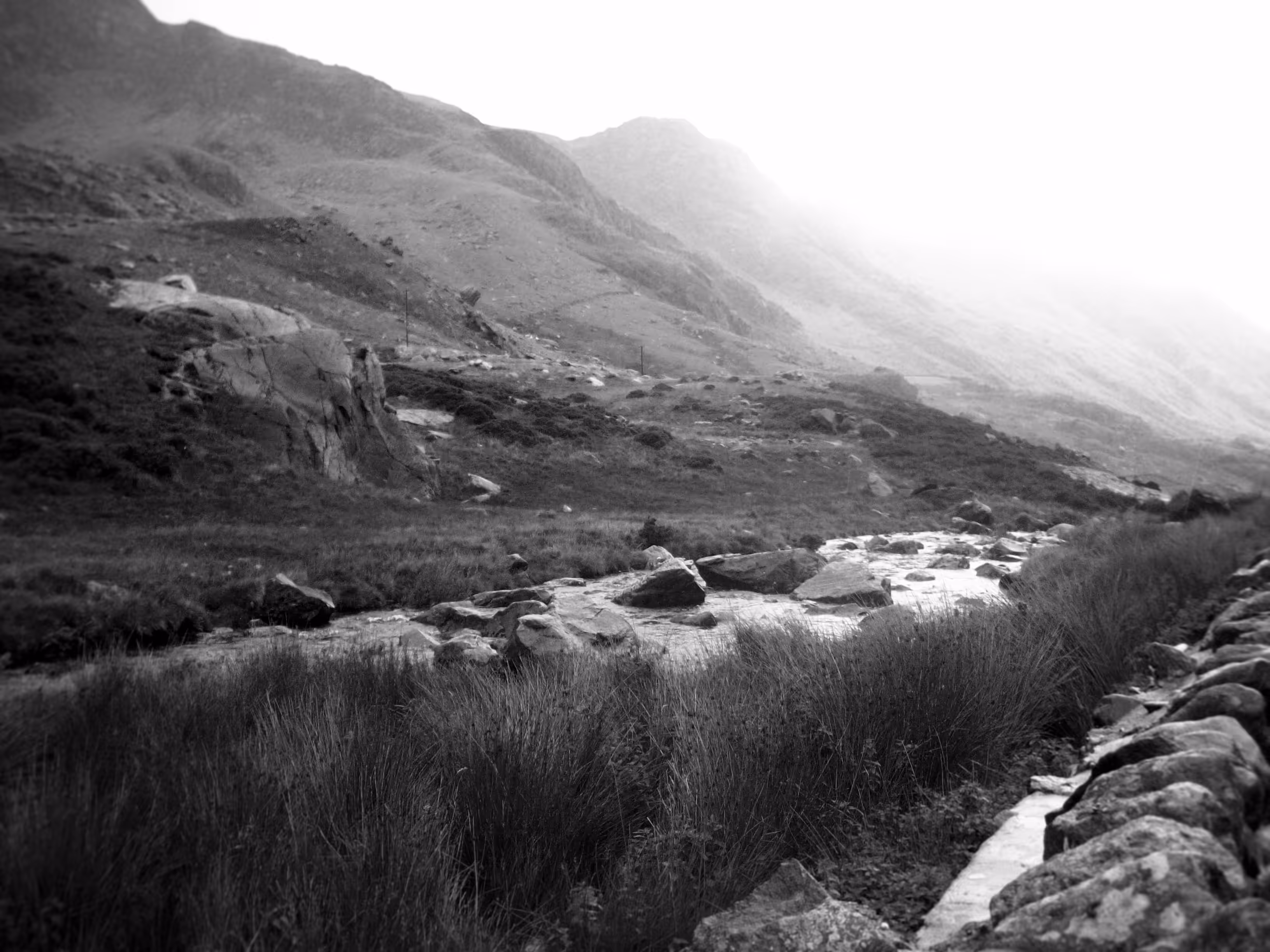 Snowdon Shadows
