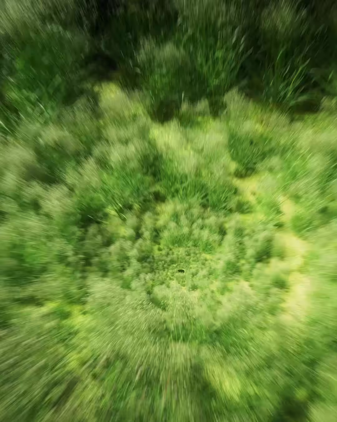 25084