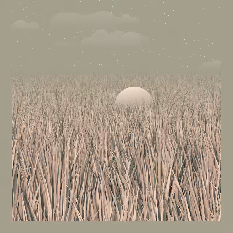 Garden of the Universe #205