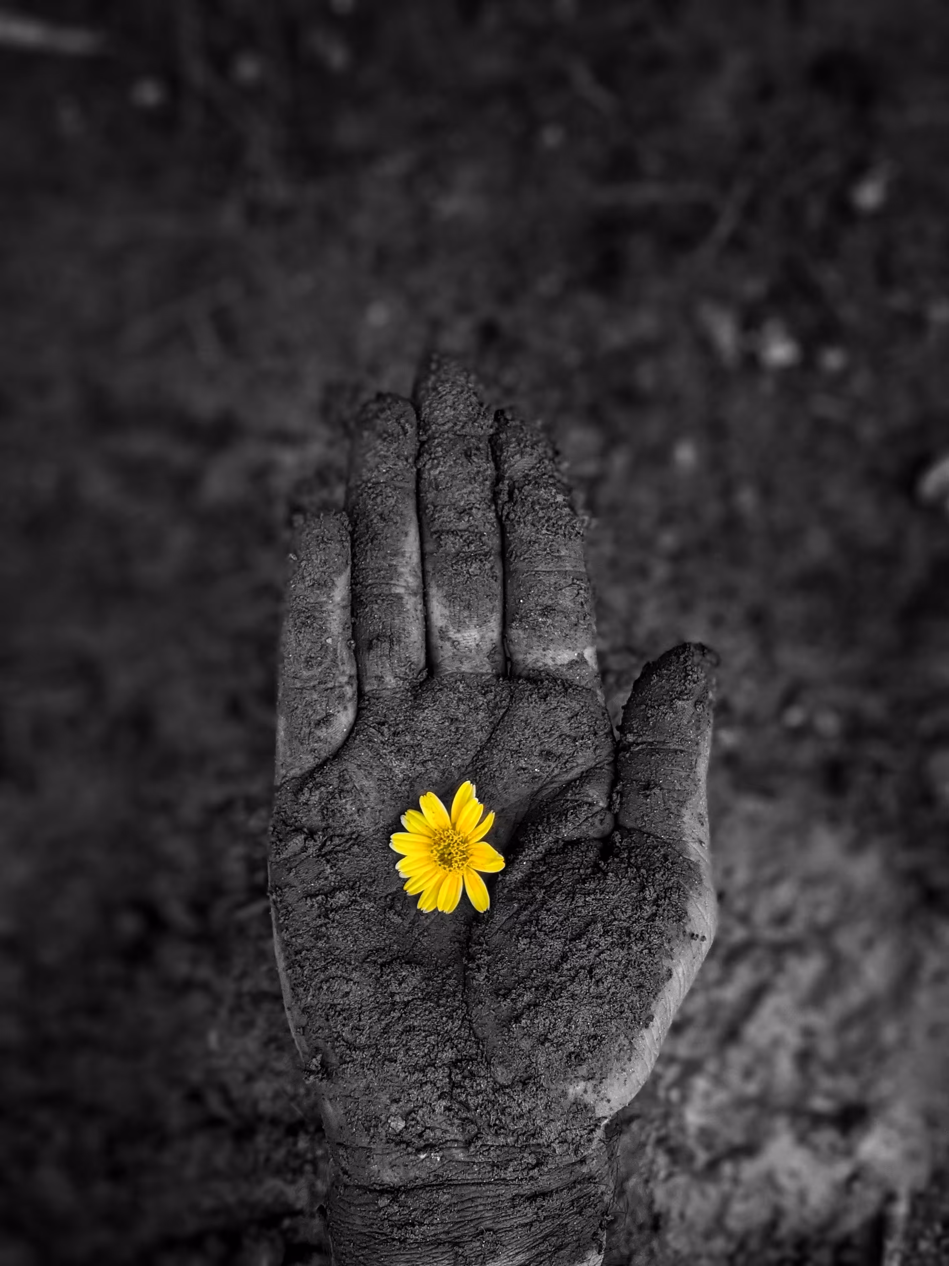 A New Life