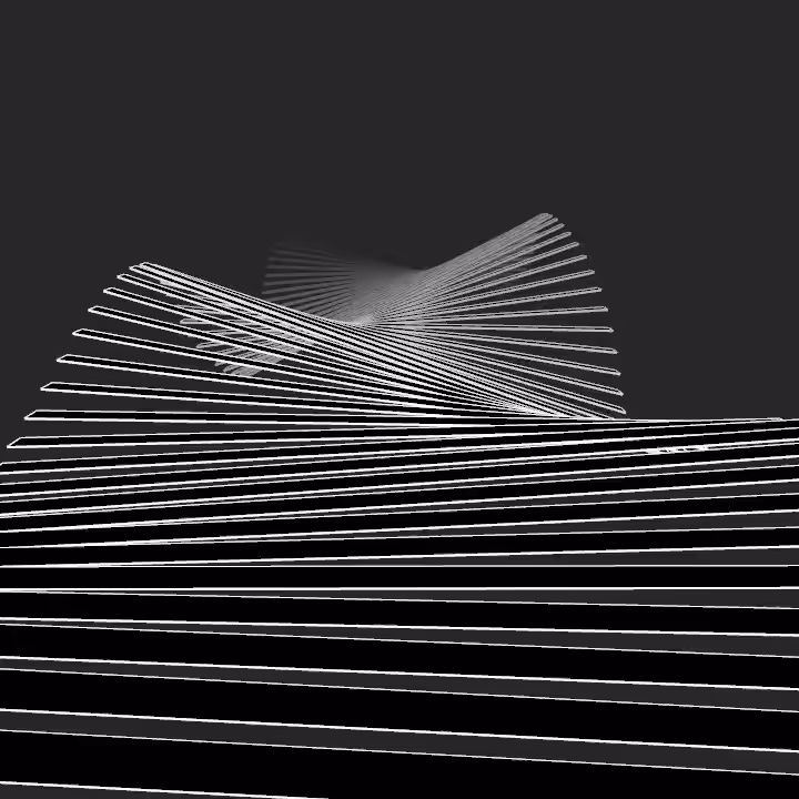 DoodleDeProgramming_20250201