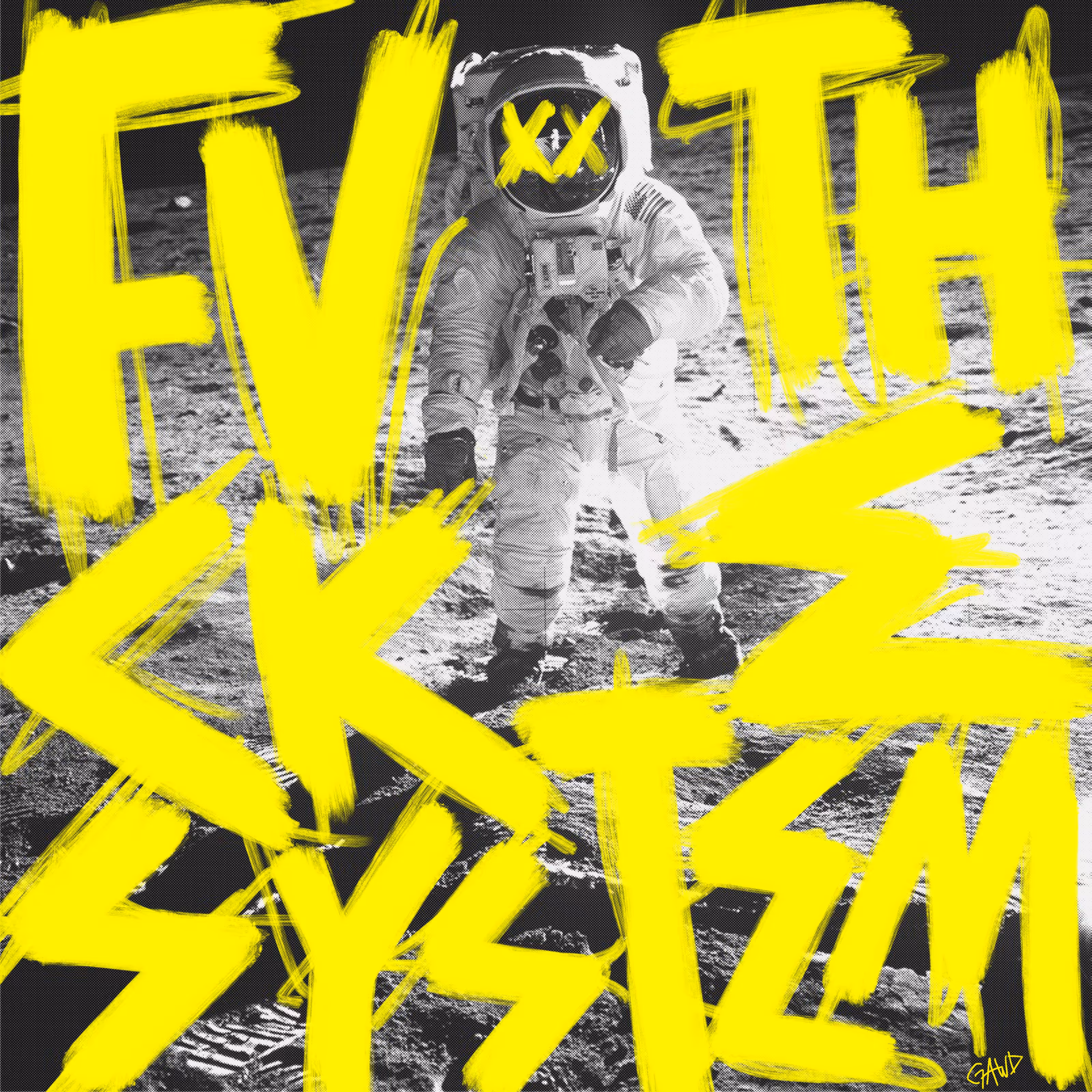 FVCK THE SYSTEM (0257)