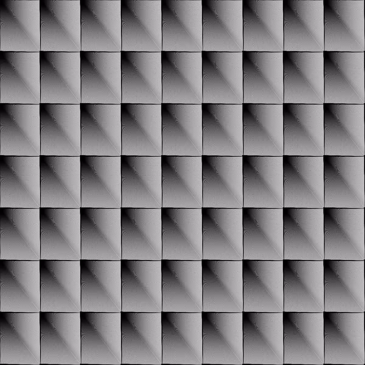 Noir et Blanc #199
