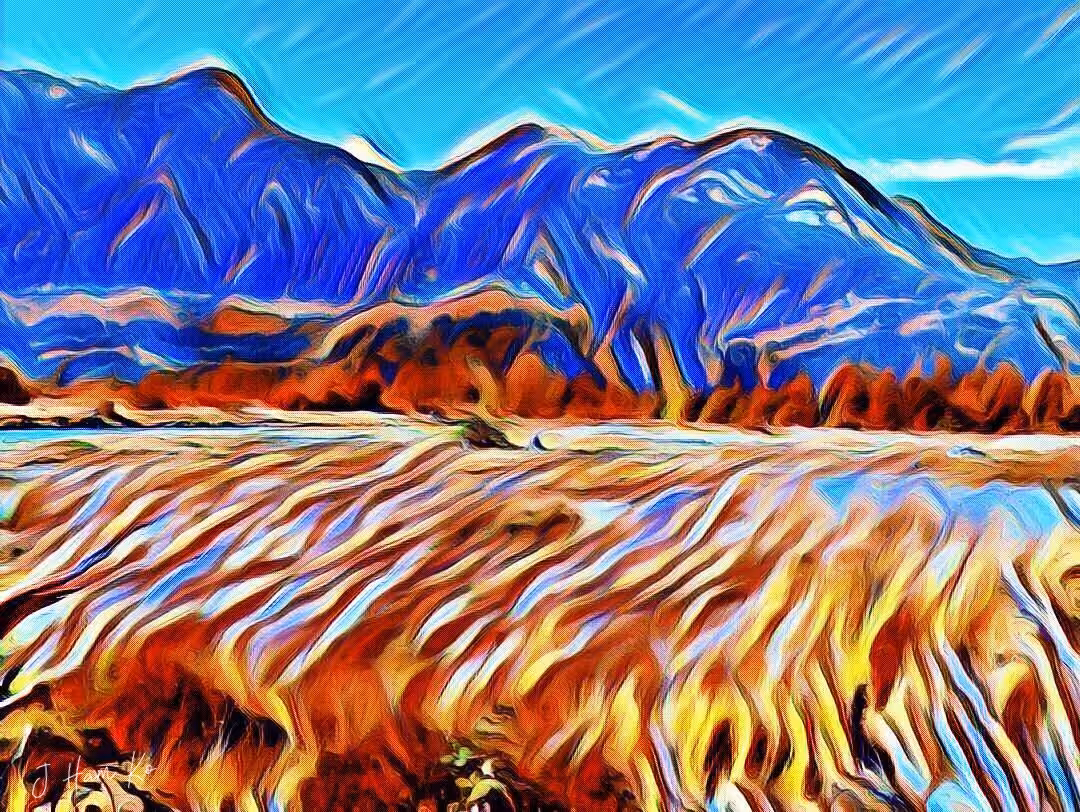 Winter Marsh Nine