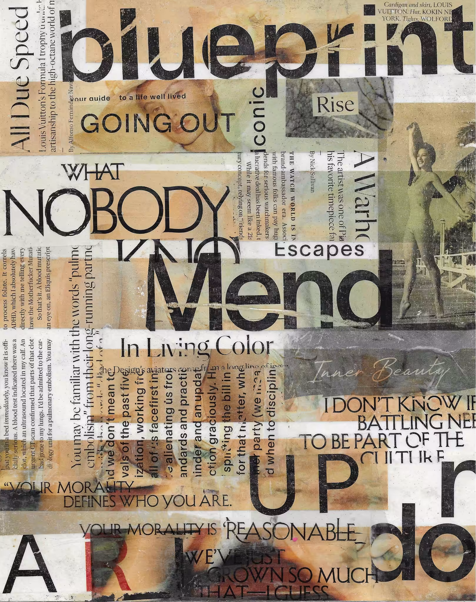 Mixed Media Art: Disassembled Beauty