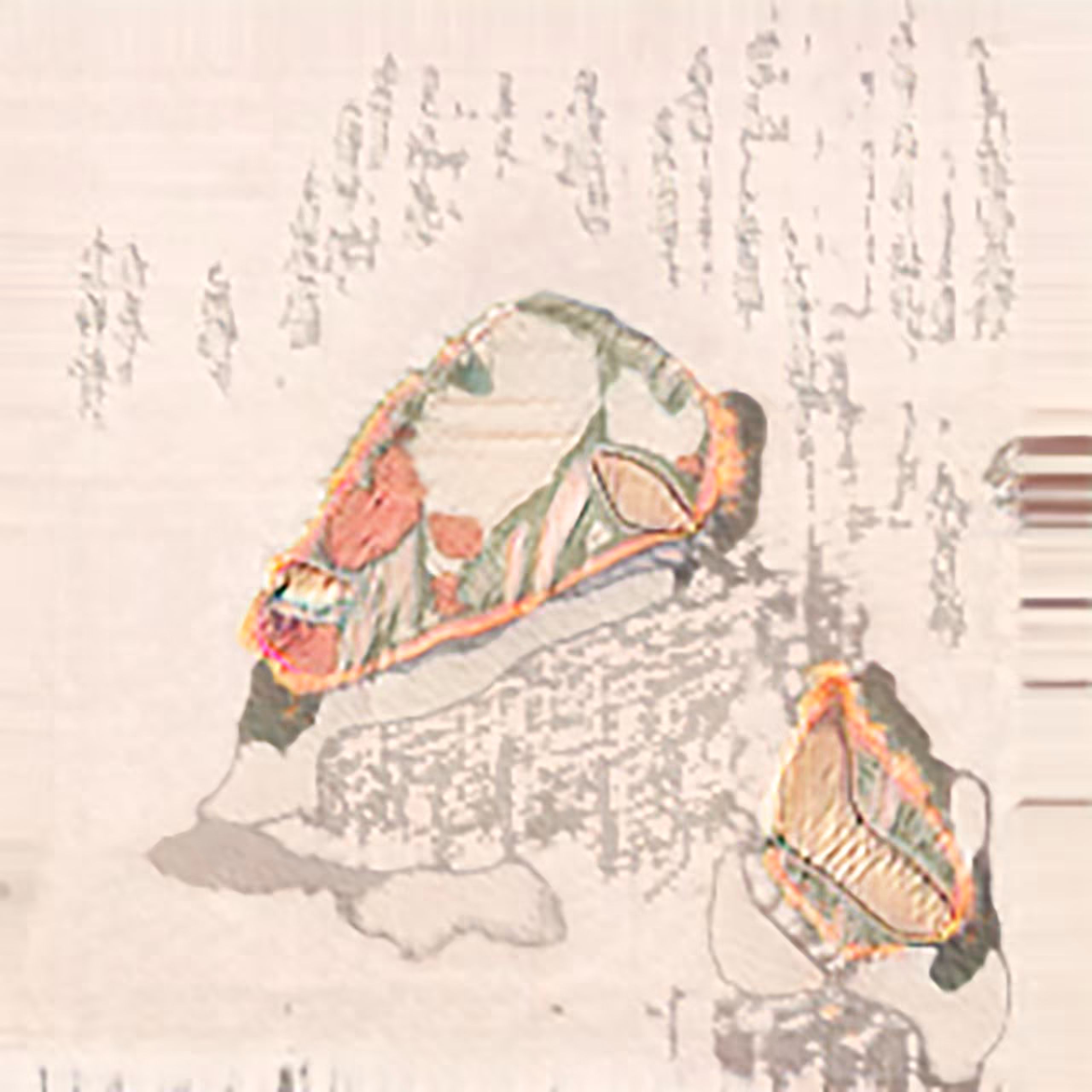 poem #1 (the samourai)