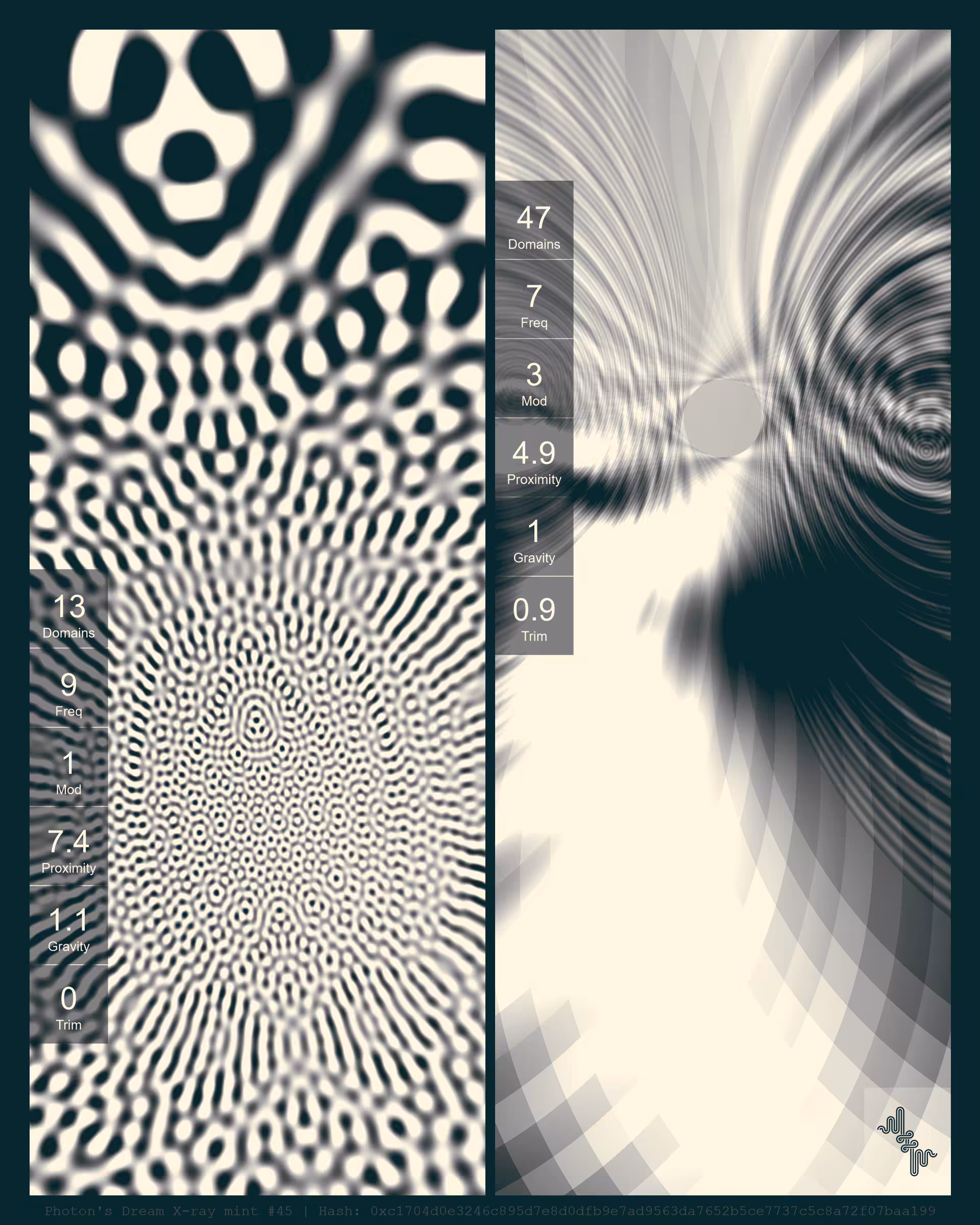 Photon's Dream X-ray mint#45