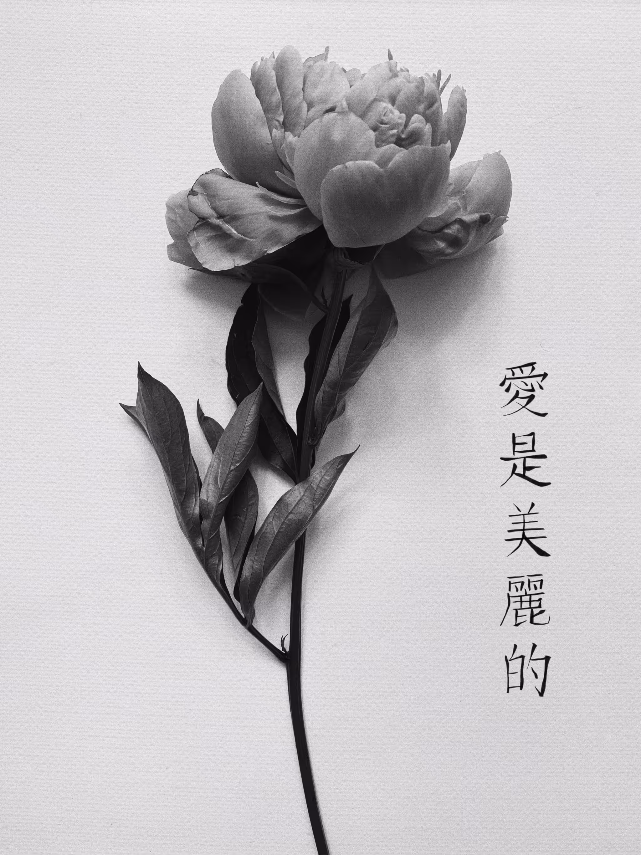 Flower V