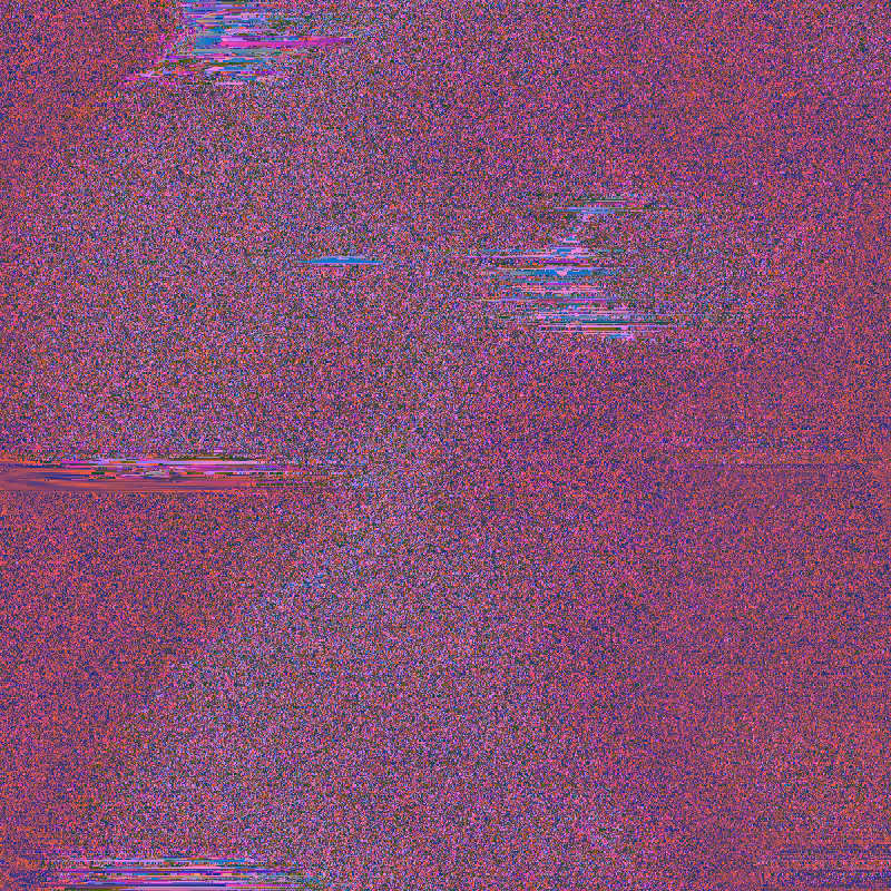 birds #4