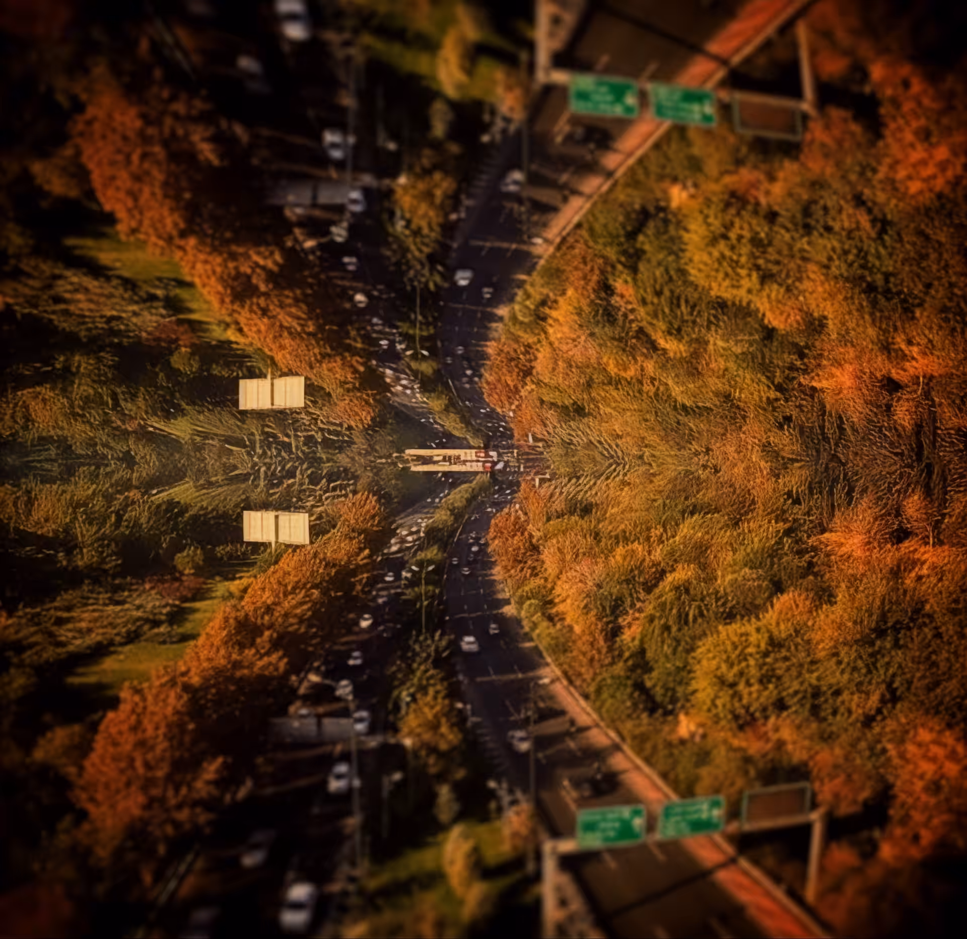 Autumn road